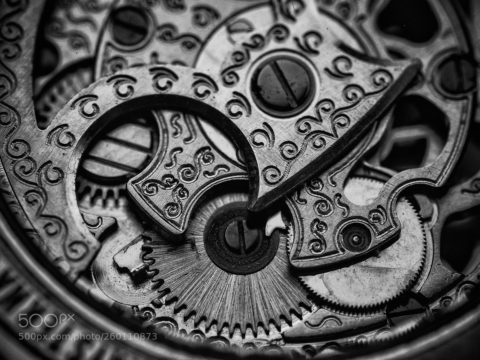 Olympus OM-D E-M5 II sample photo. Gears photography