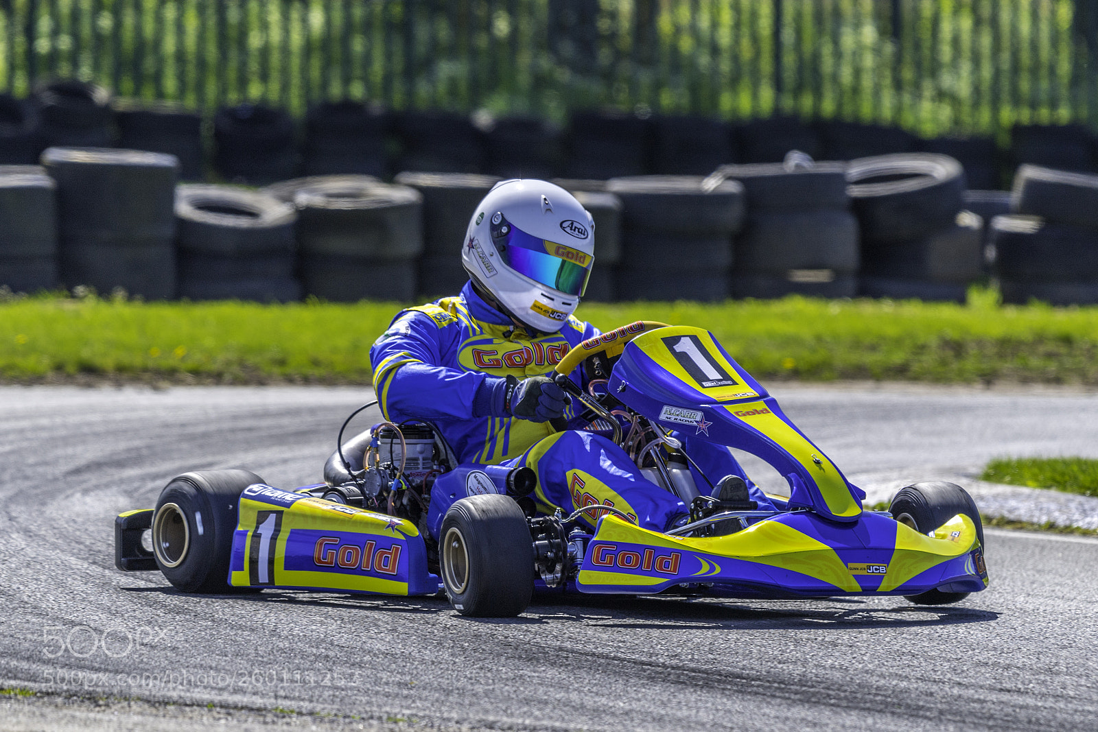 Nikon D5 sample photo. Kart racing photography