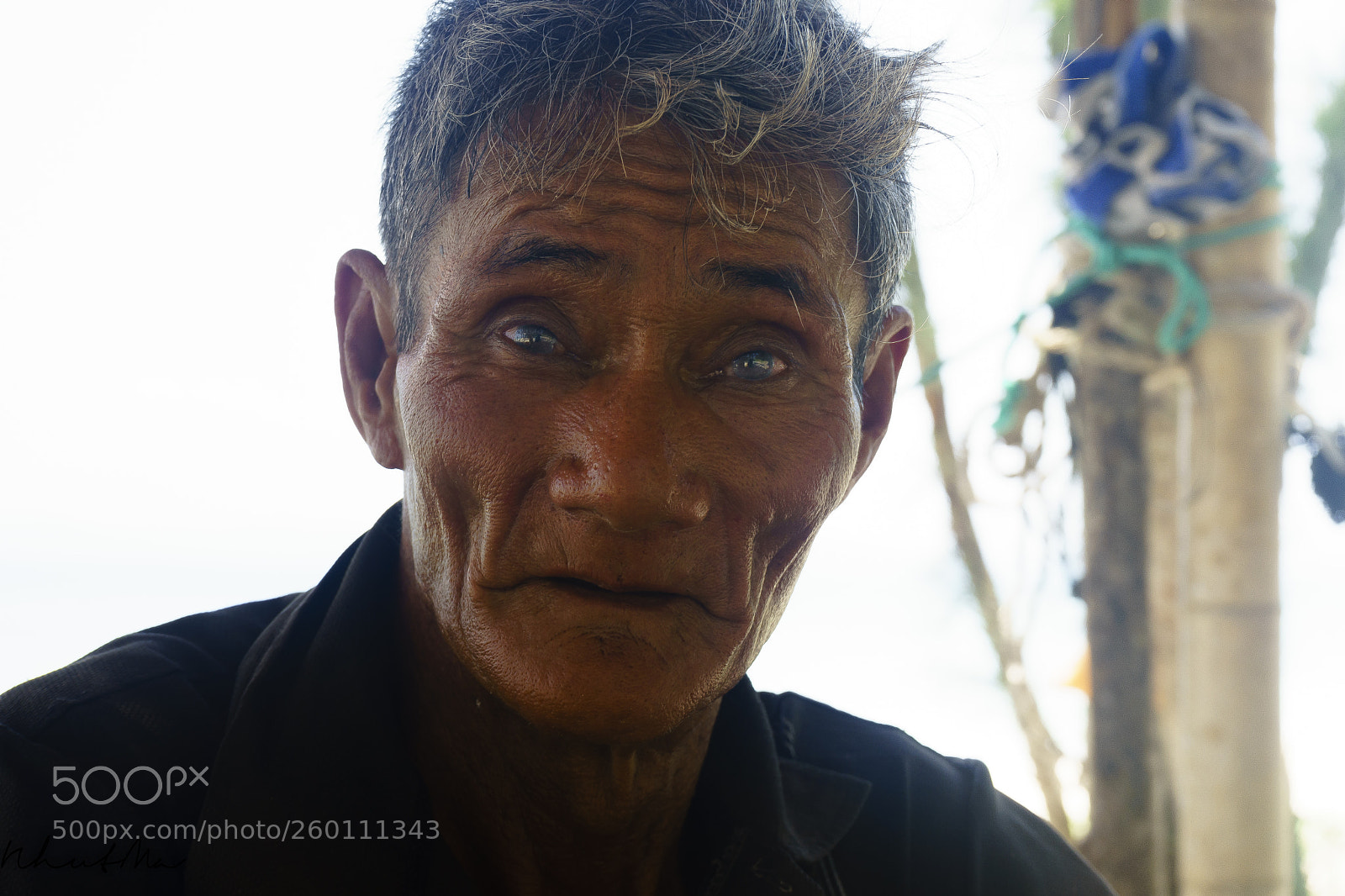 Sony a7 II sample photo. Vietnamese robinson photography