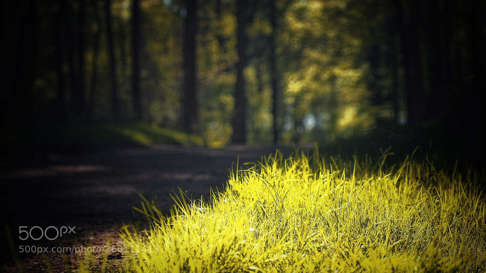 Panasonic Lumix DMC-GX7 sample photo. Back to greenery photography