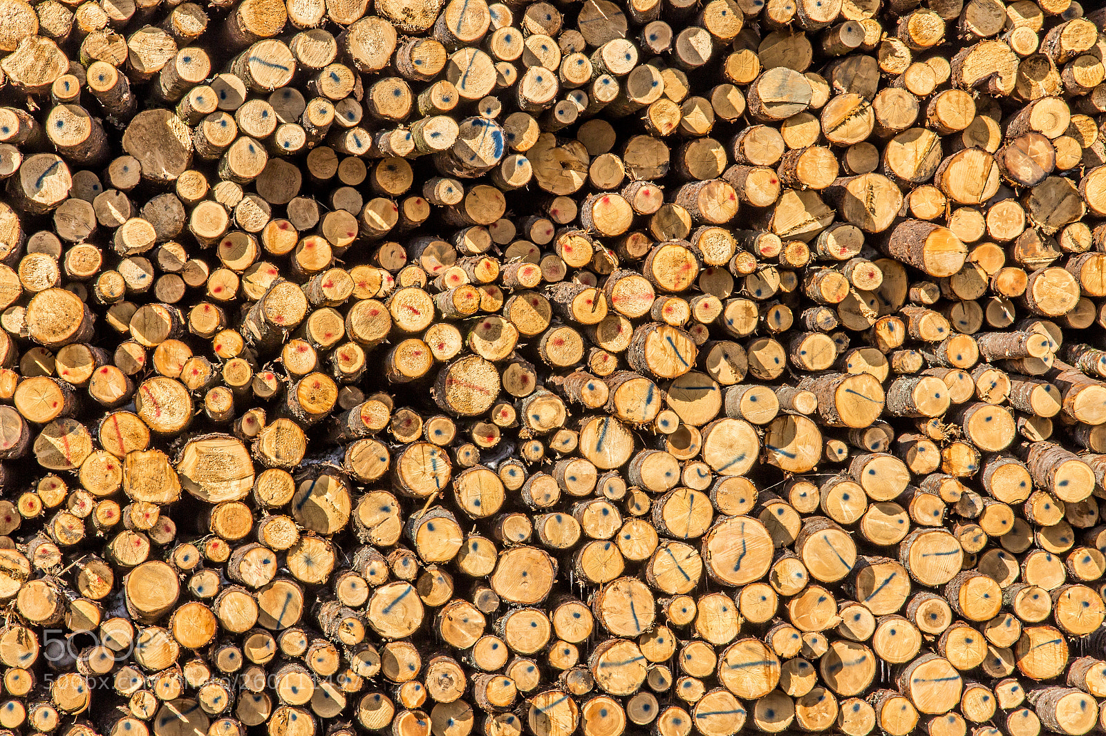 Canon EOS 6D sample photo. Stack of logs photography
