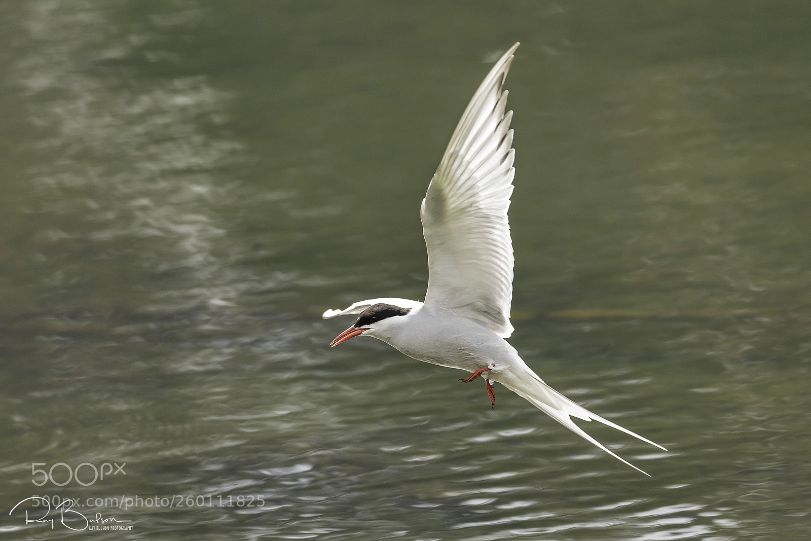 Canon EOS 5D Mark IV sample photo. Landing gear down photography