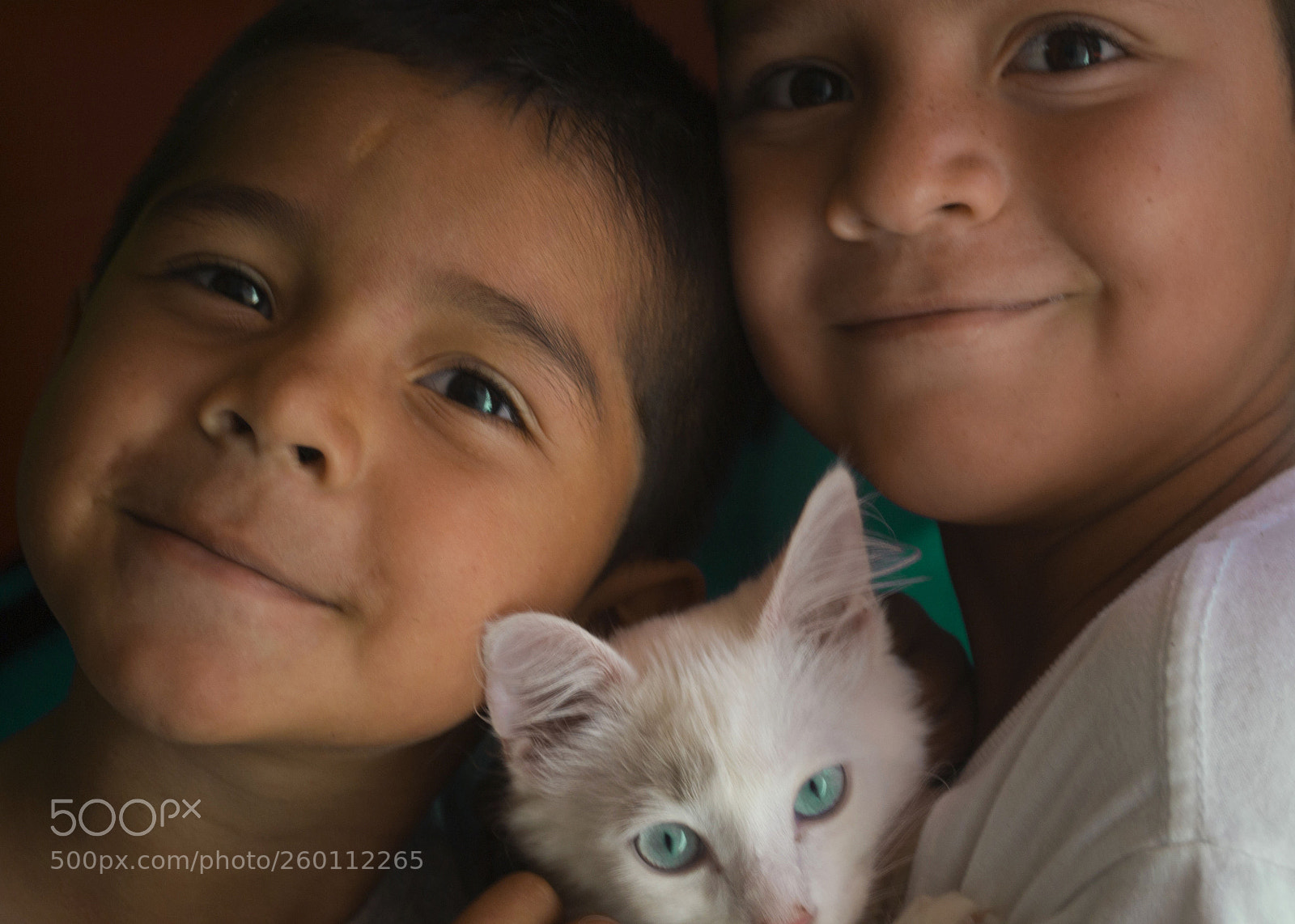 Nikon D3100 sample photo. Steven  and peter photography