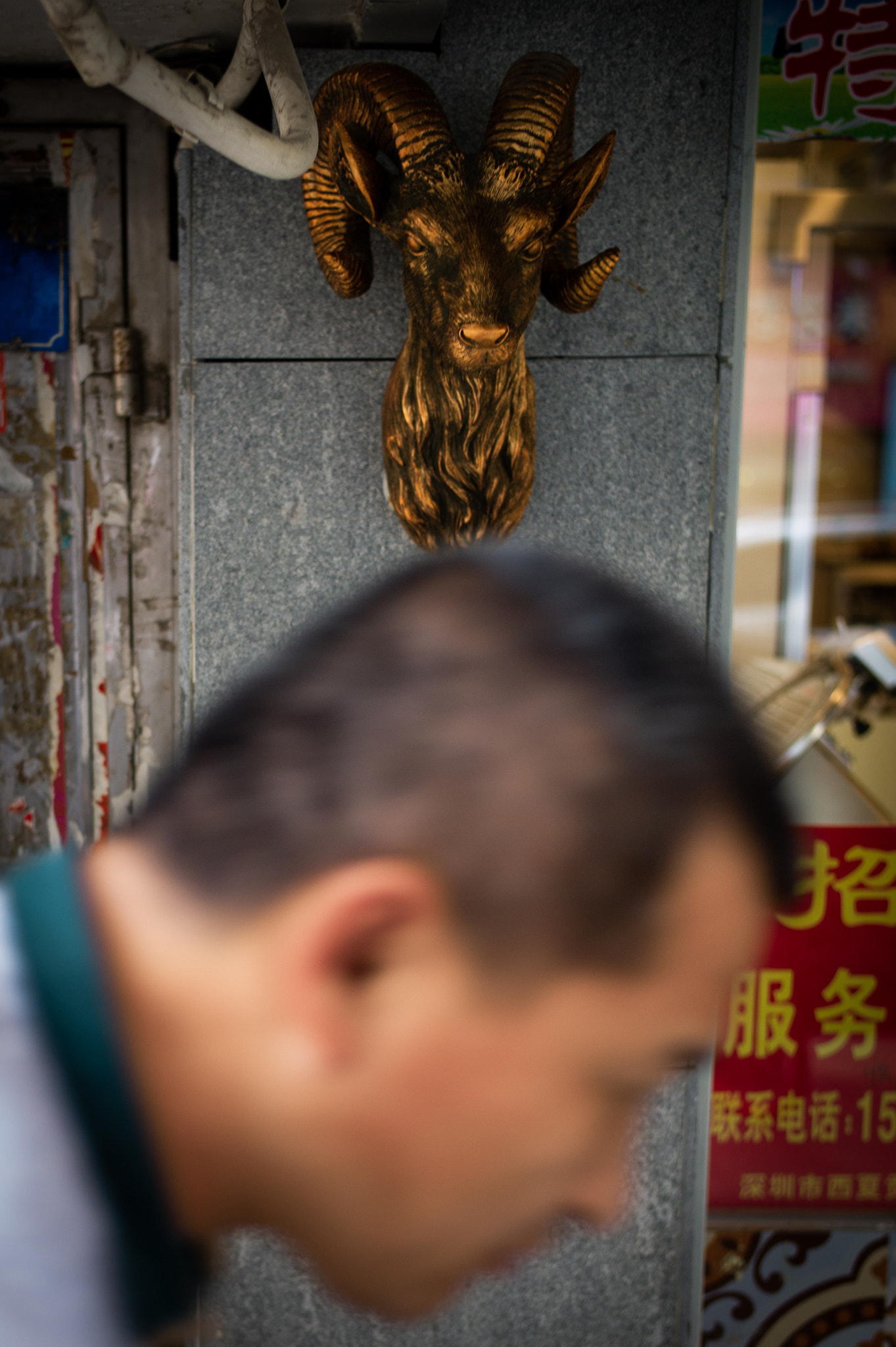 Leica M9 sample photo