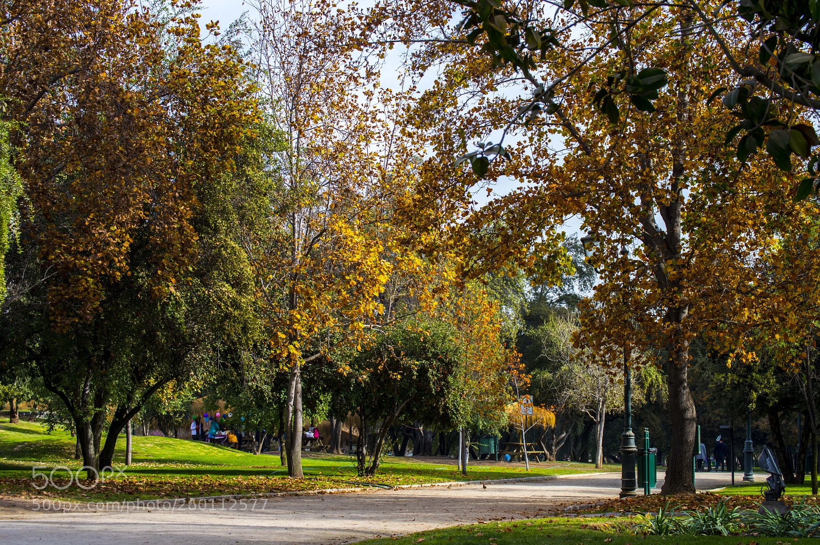 Nikon D3200 sample photo. Otoño photography