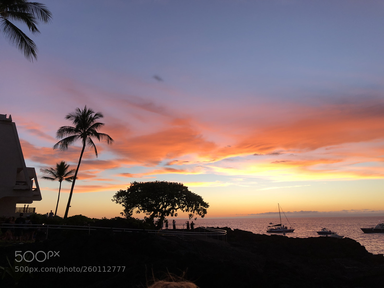 Apple iPhone X sample photo. Boatpalmsky(e) photography