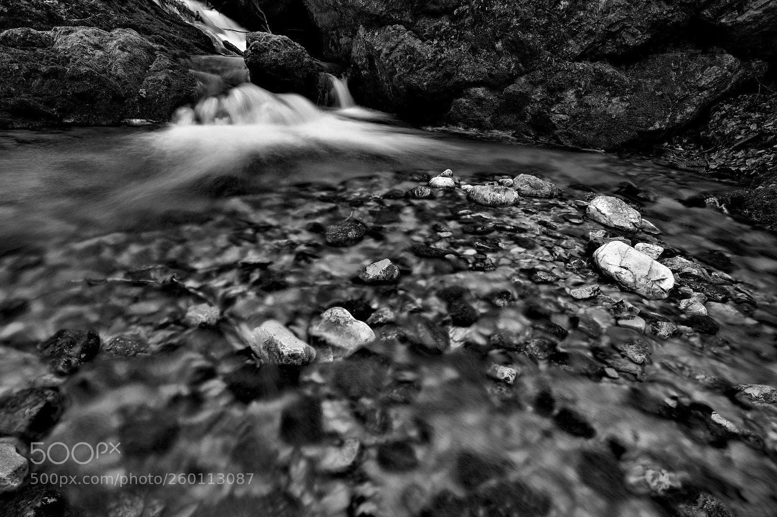 Canon EOS 5D Mark II sample photo. ~ photography