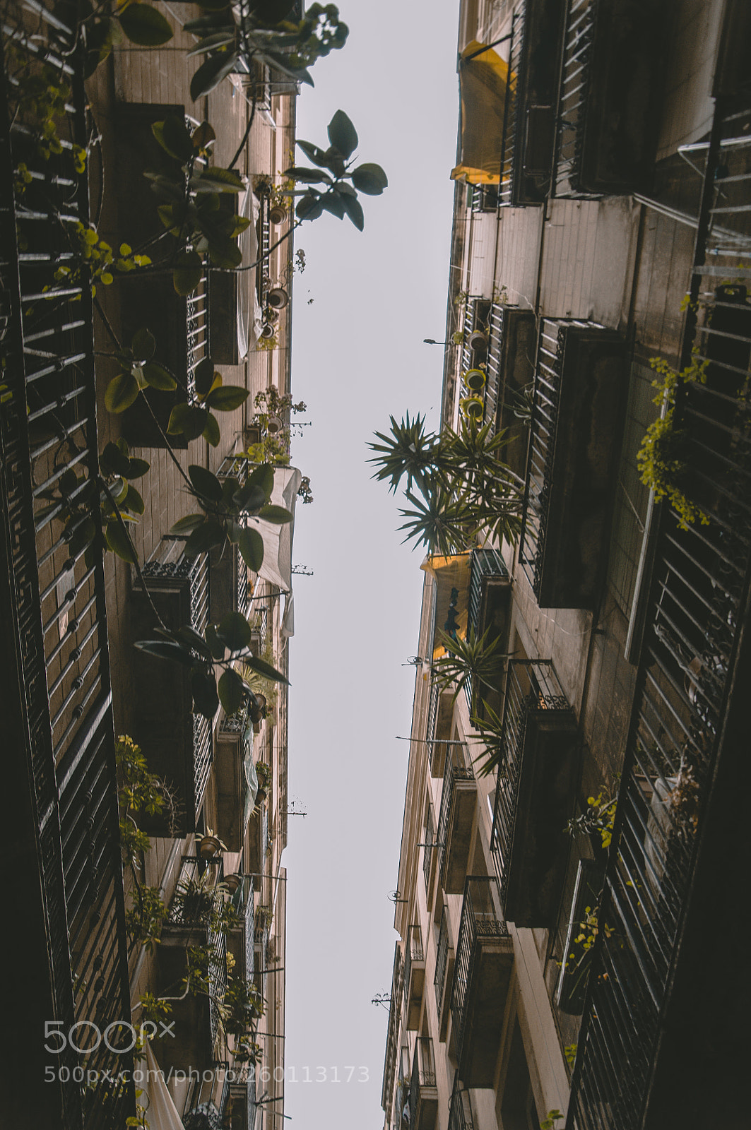 Nikon D90 sample photo. Barcelona photography