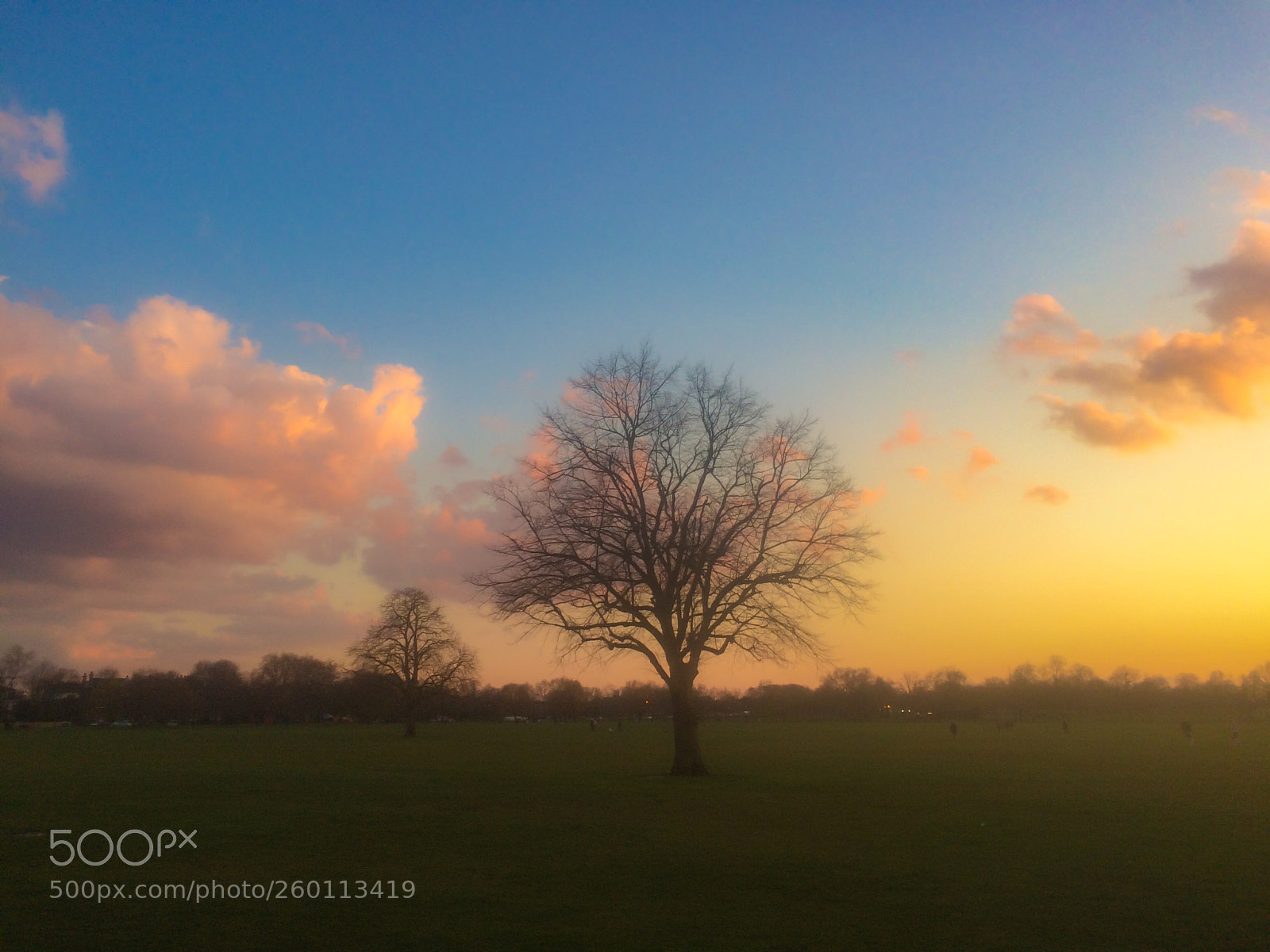 Apple iPhone 5s sample photo. Clapham common photography