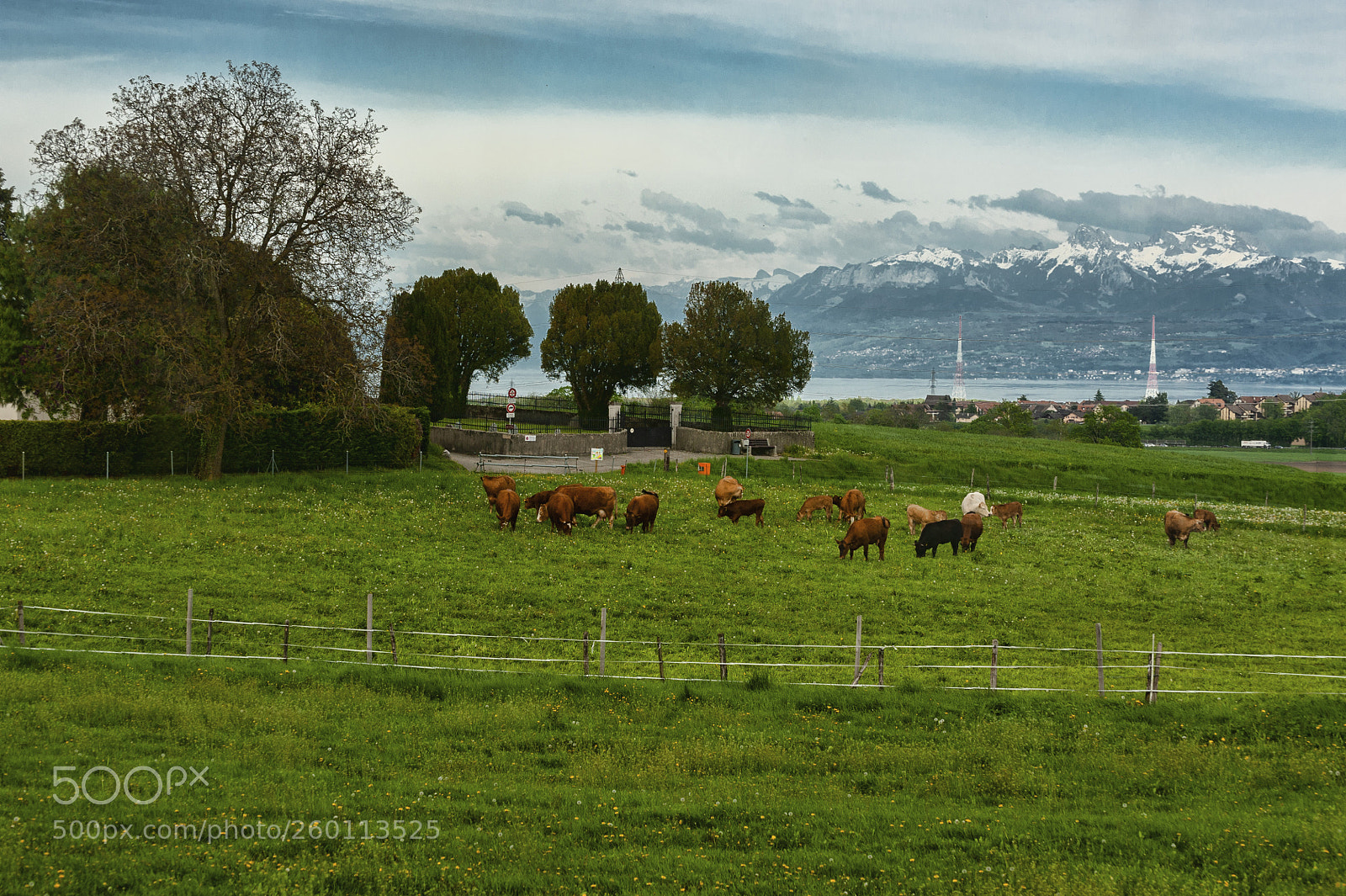 Nikon D700 sample photo. Nyon, switzerland photography