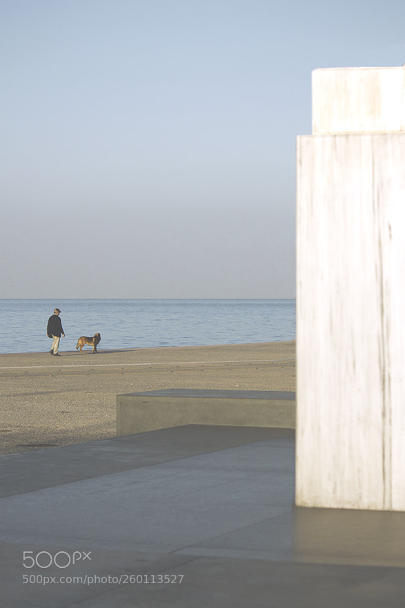 Canon EOS 550D (EOS Rebel T2i / EOS Kiss X4) sample photo. Friends photography
