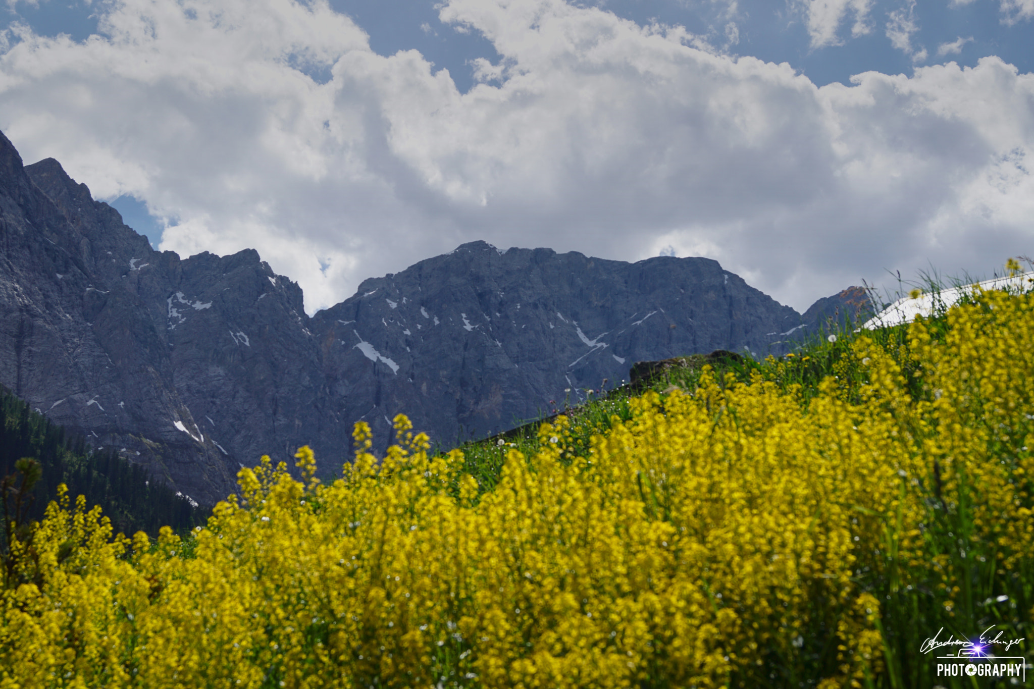 Sony SLT-A68 sample photo. Andreas eichinger photography photography