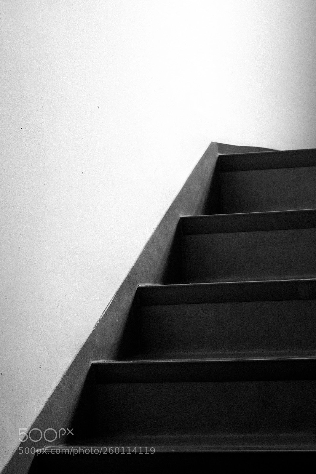 Nikon D500 sample photo. Walk in the sky photography