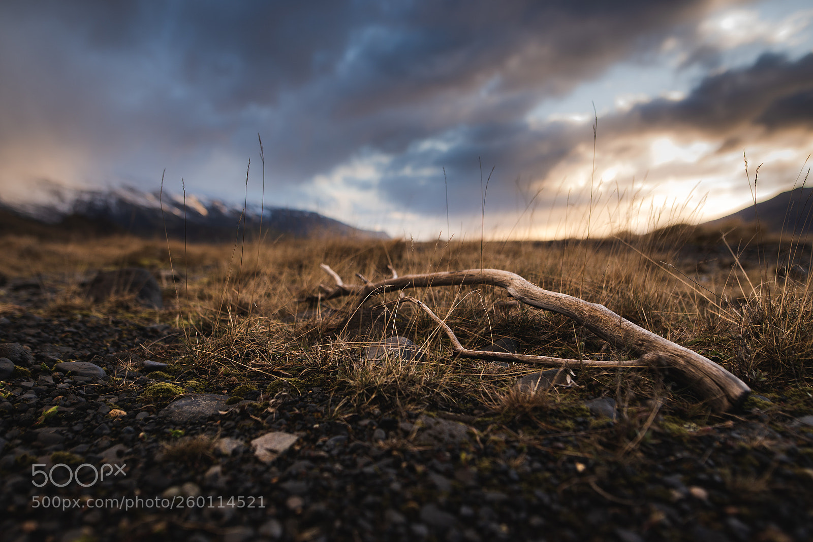Nikon D610 sample photo. Evening light photography