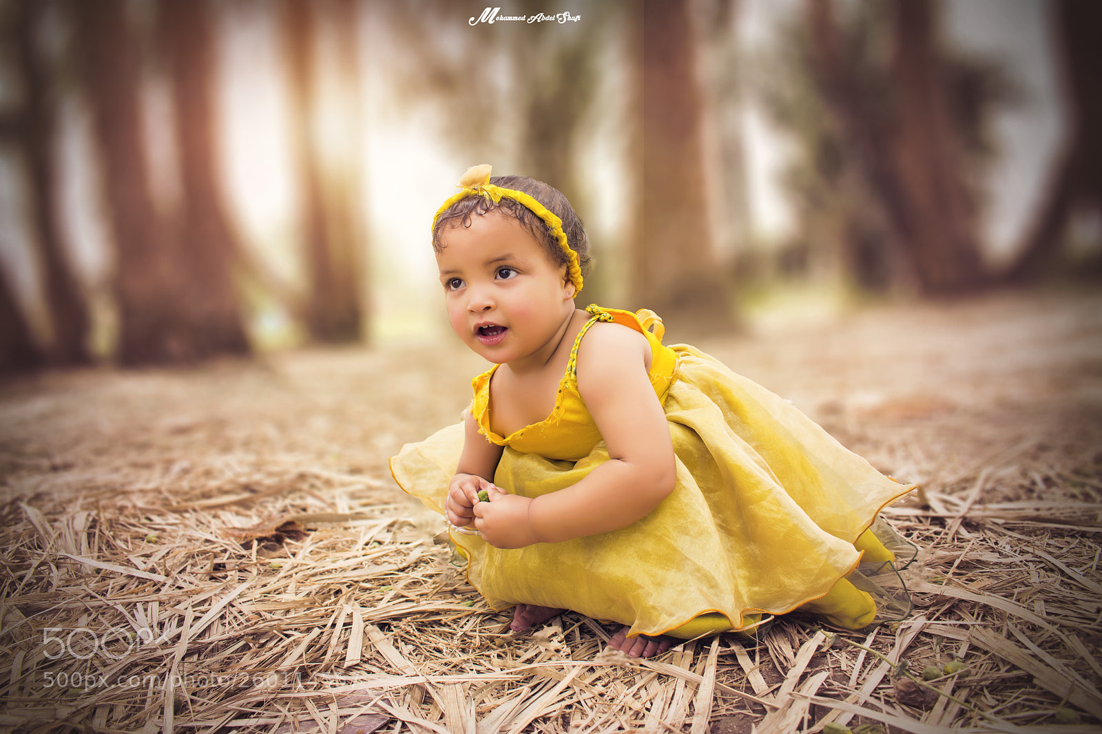 Nikon D3400 sample photo. A girl in the photography