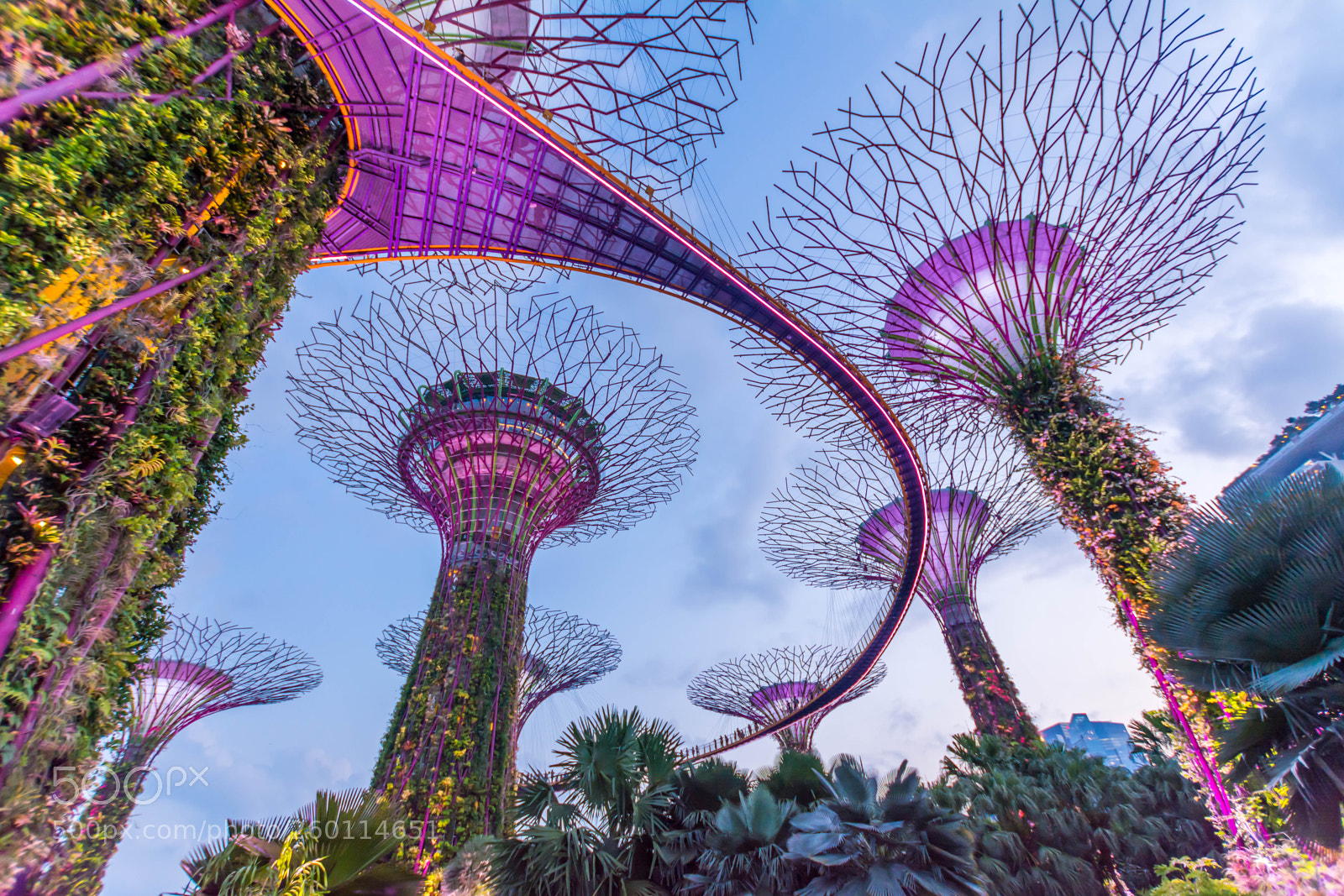 Nikon D5200 sample photo. Singapore photography