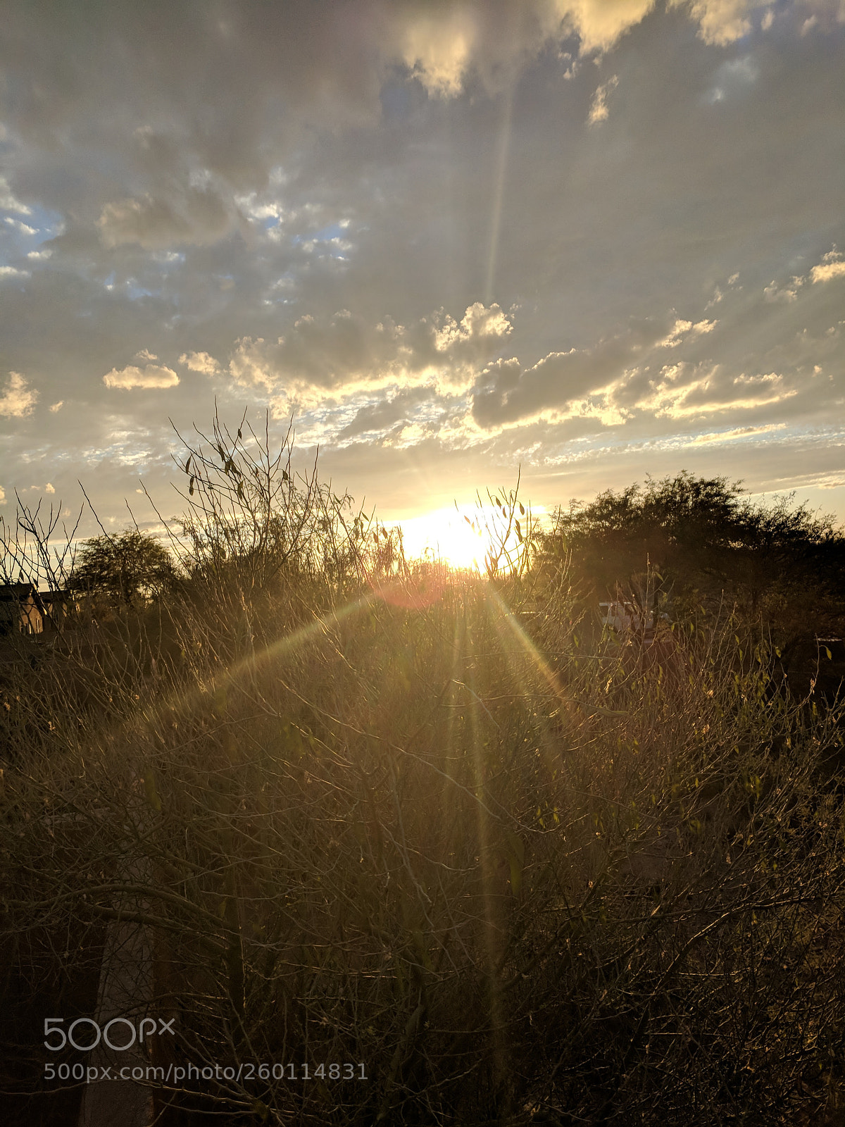 Google Pixel sample photo. Sun rays photography