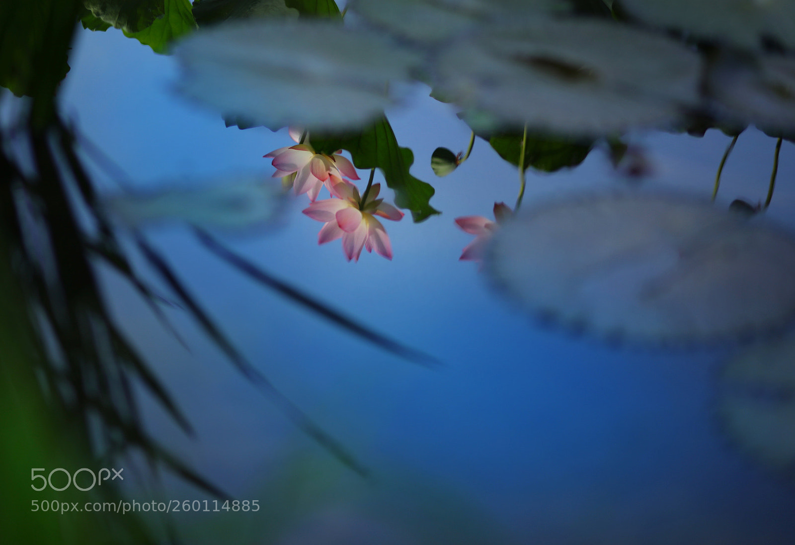 Canon EOS 5DS R sample photo. Another angle of view photography