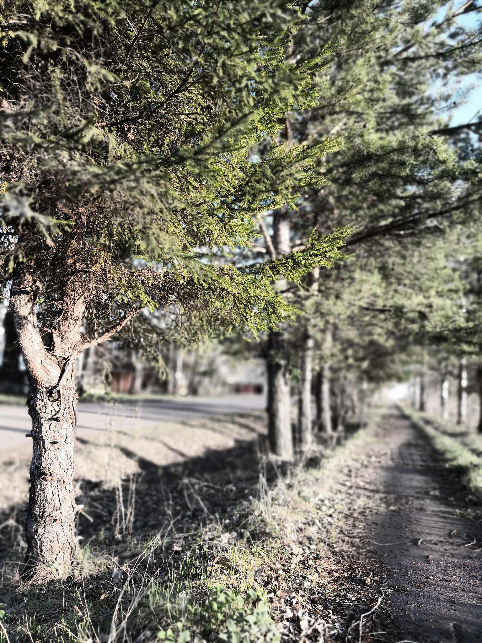 HUAWEI Honor 10 sample photo. Created by nature photography
