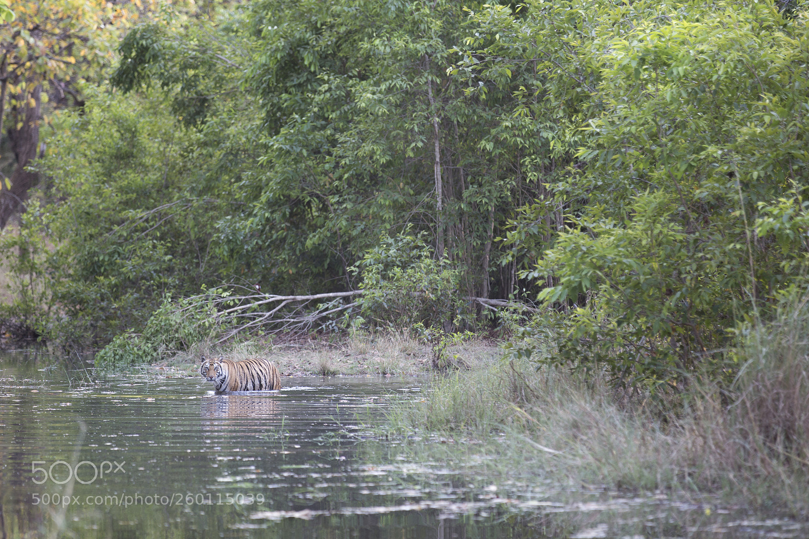 Canon EOS 6D sample photo. Cooling off photography