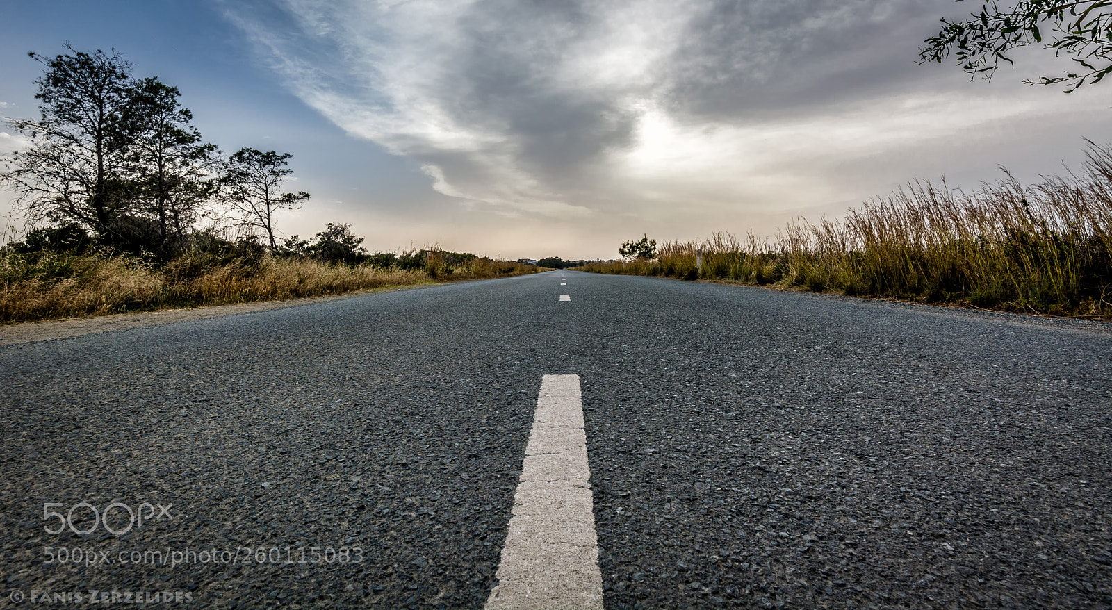 Nikon D5200 sample photo. Get low..! photography
