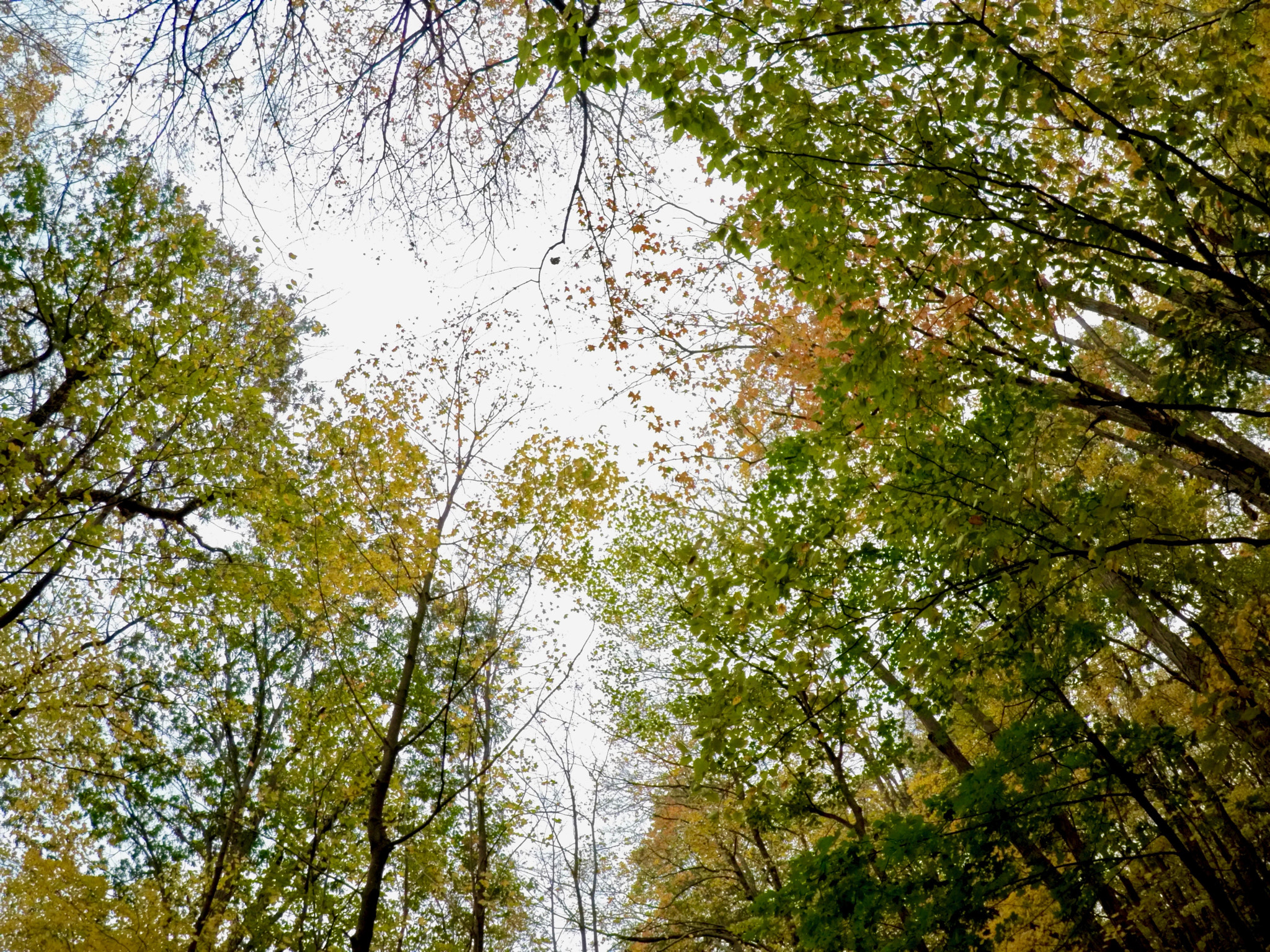 GoPro Hero5 Black sample photo. Dcim\100gopro\gopr0831.jpg photography