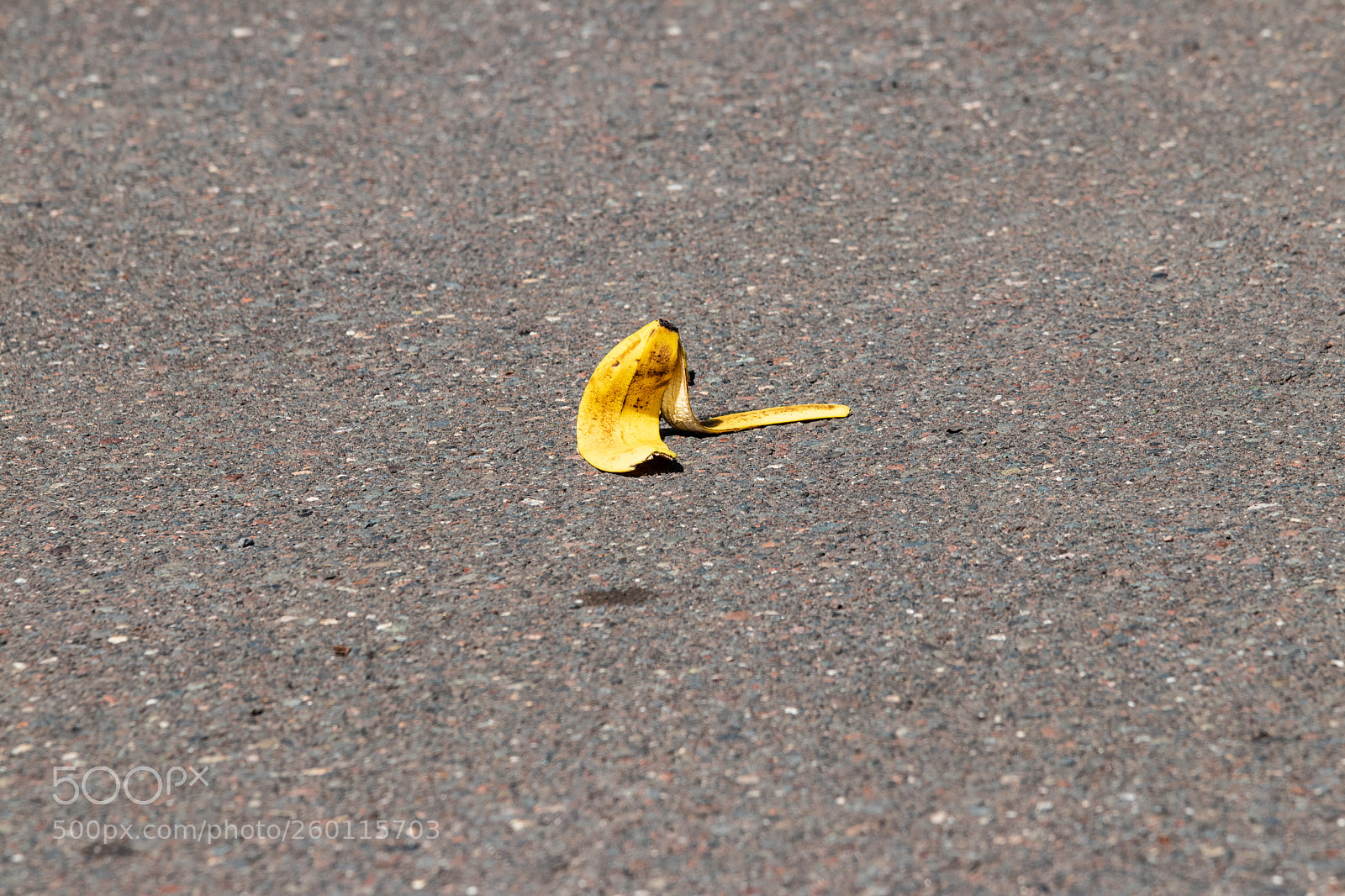 Canon EOS 80D sample photo. Banana peel in tettegouche photography