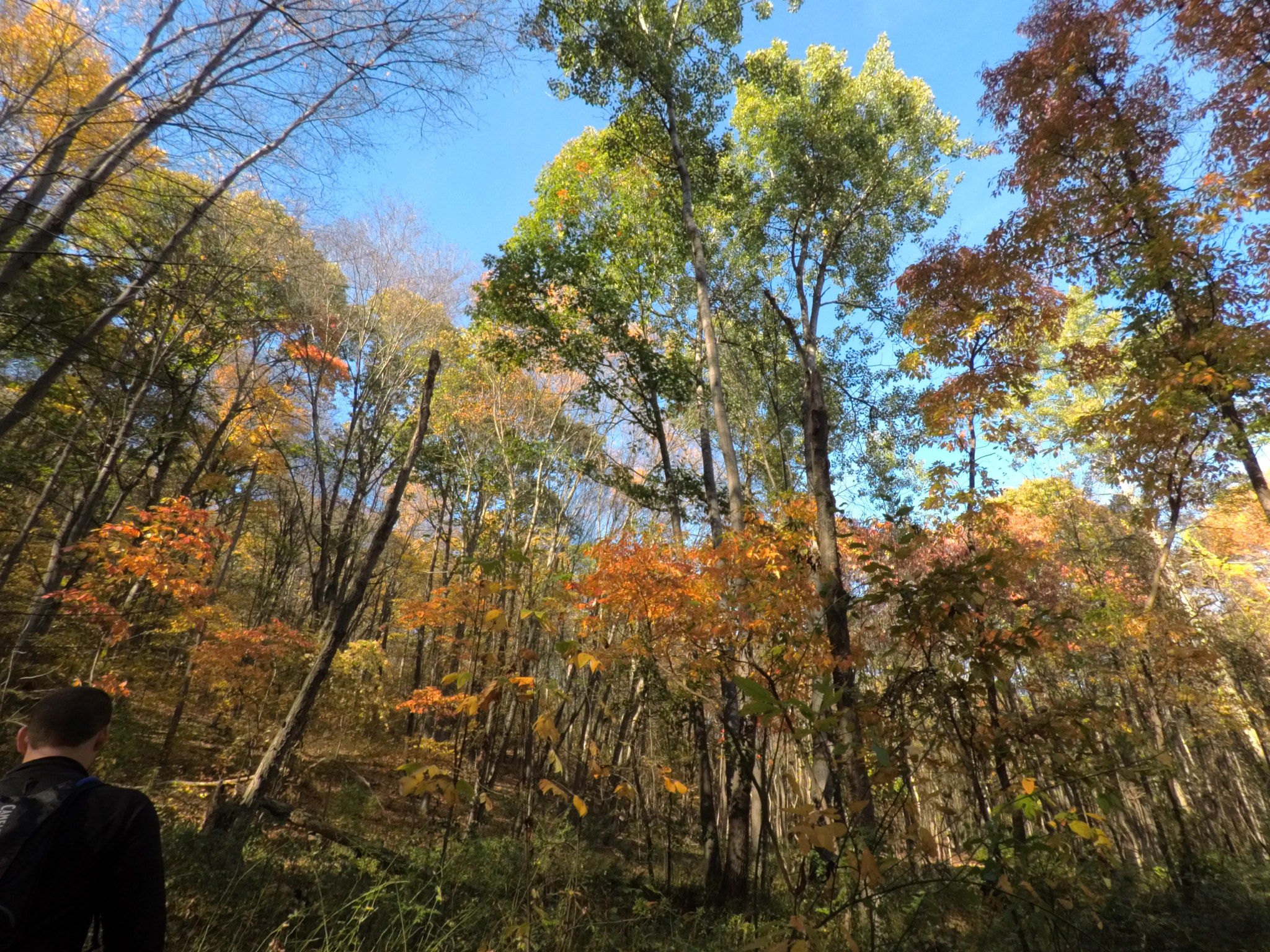 GoPro Hero5 Black sample photo. Dcim\100gopro\gopr0923.jpg photography