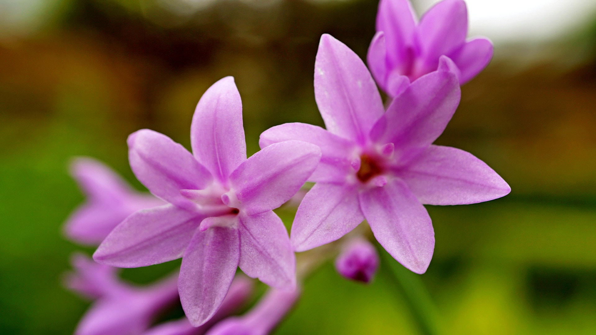 Sony a5100 sample photo