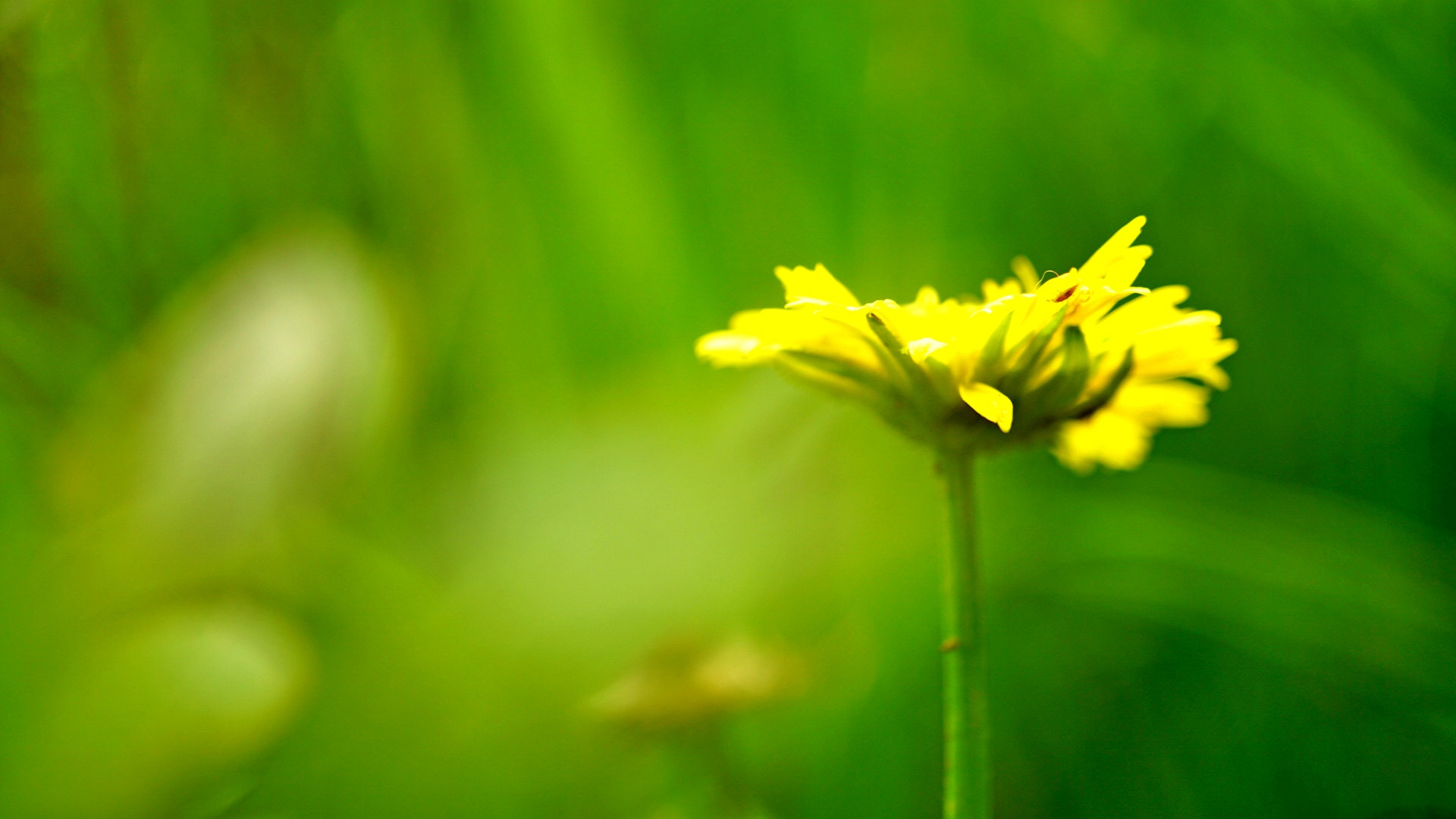 Sony a5100 sample photo