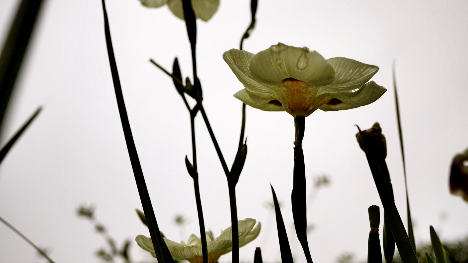 Sony a5100 sample photo