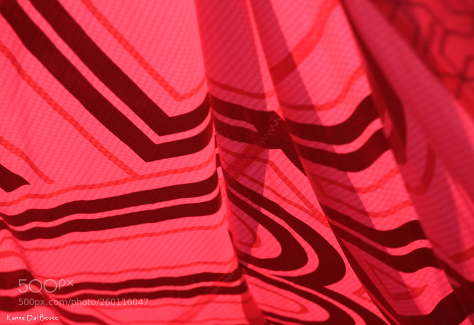 Canon EOS 5D Mark II sample photo. Pink pareo photography