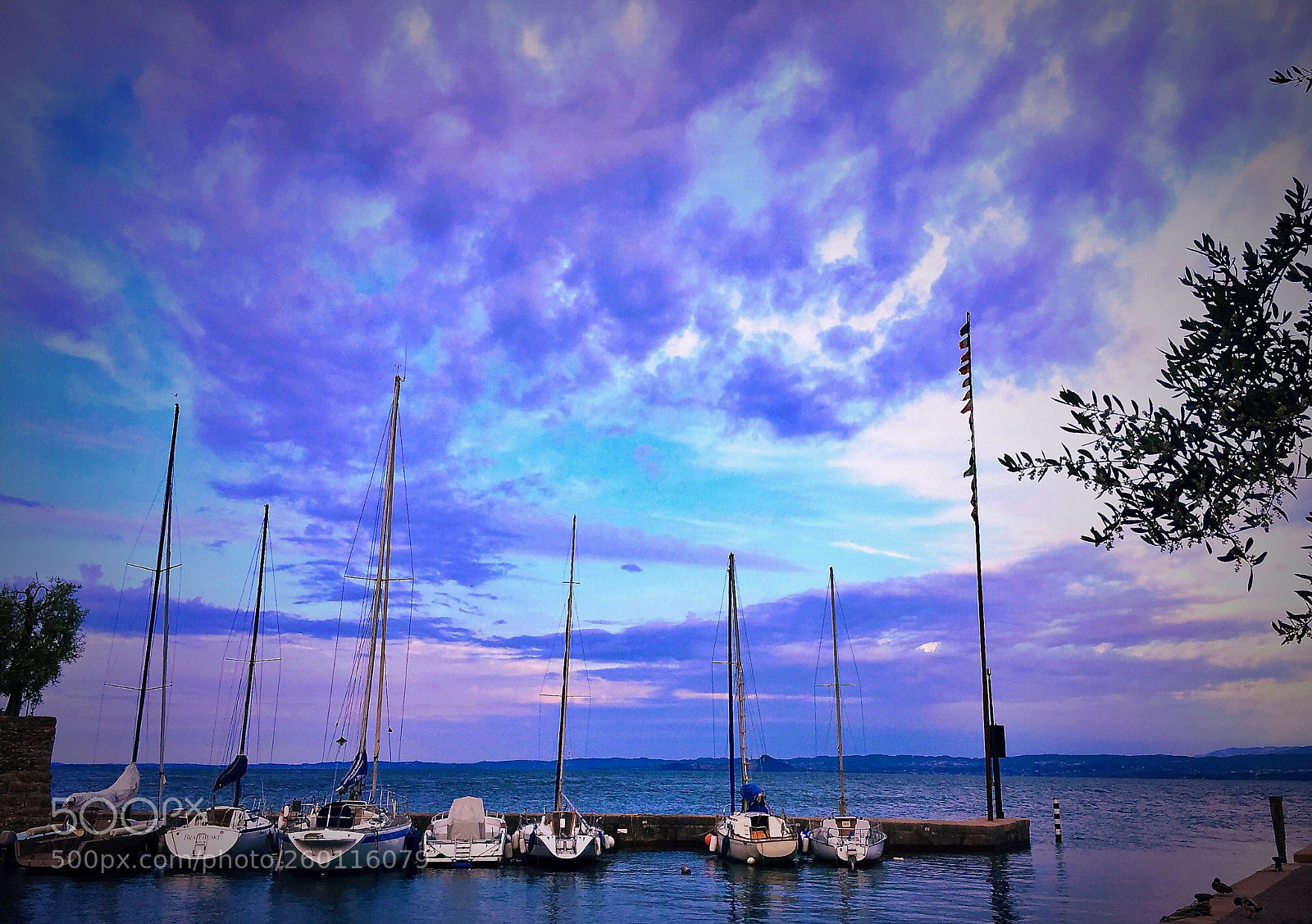 Apple iPhone 6 Plus sample photo. Blue marina photography