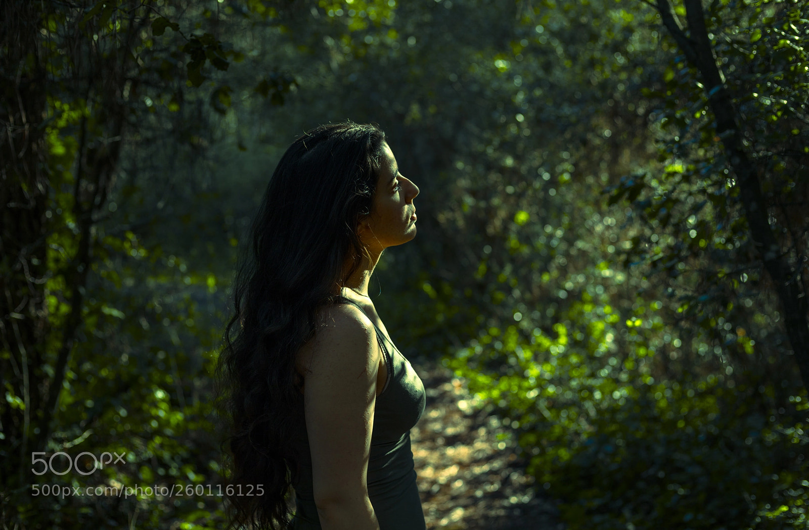Canon EOS 5D Mark IV sample photo. Southed photography