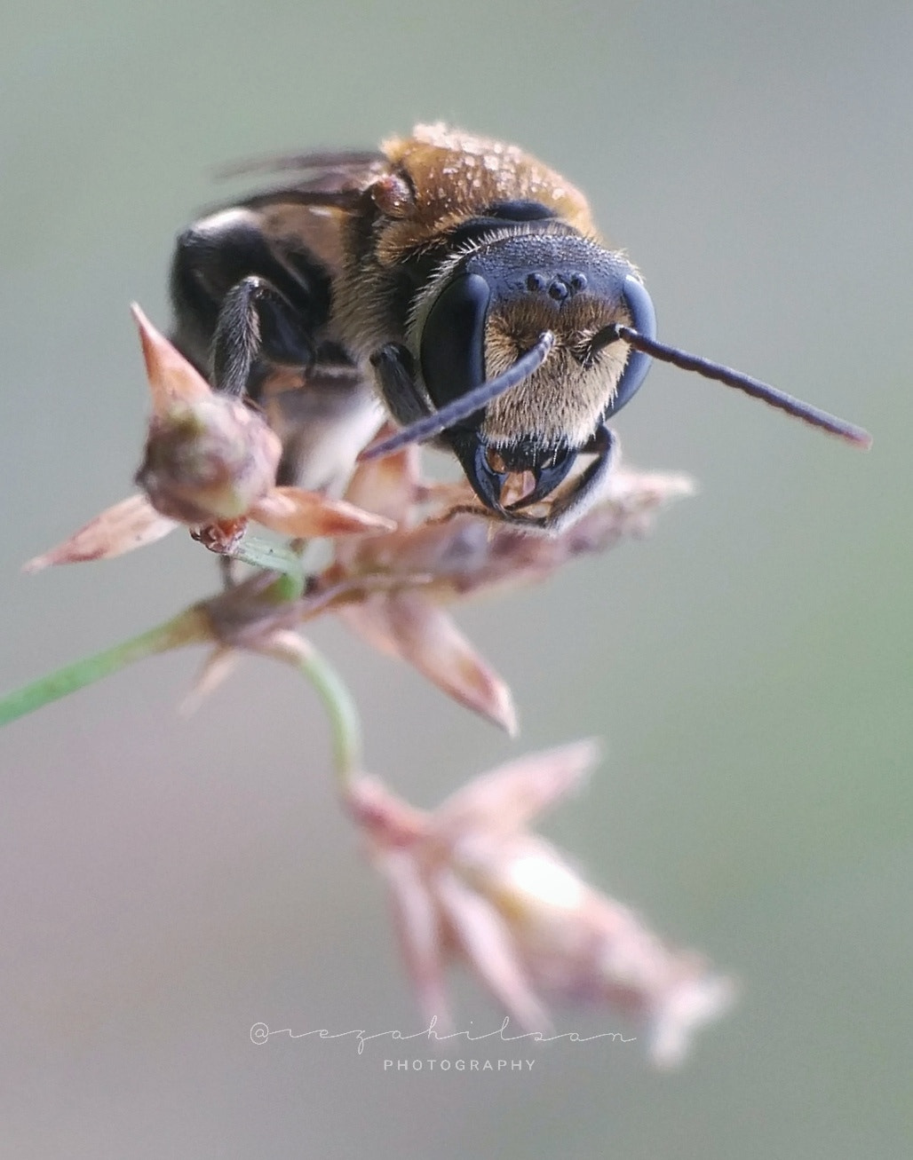 Xiaomi MI 5 sample photo. 😊 photography