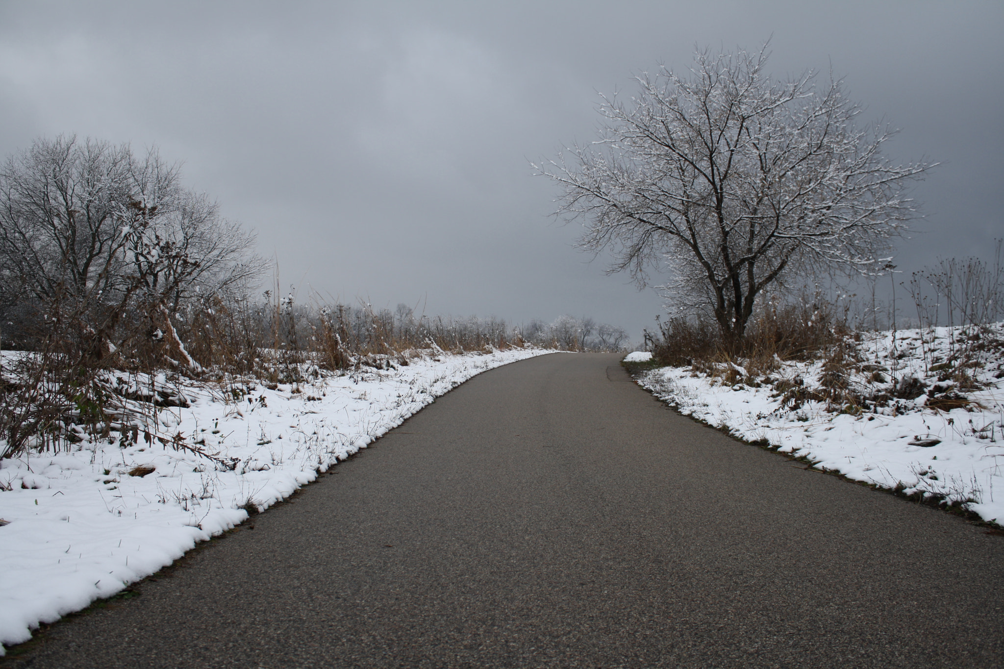 Canon EOS 1000D (EOS Digital Rebel XS / EOS Kiss F) sample photo. Img photography