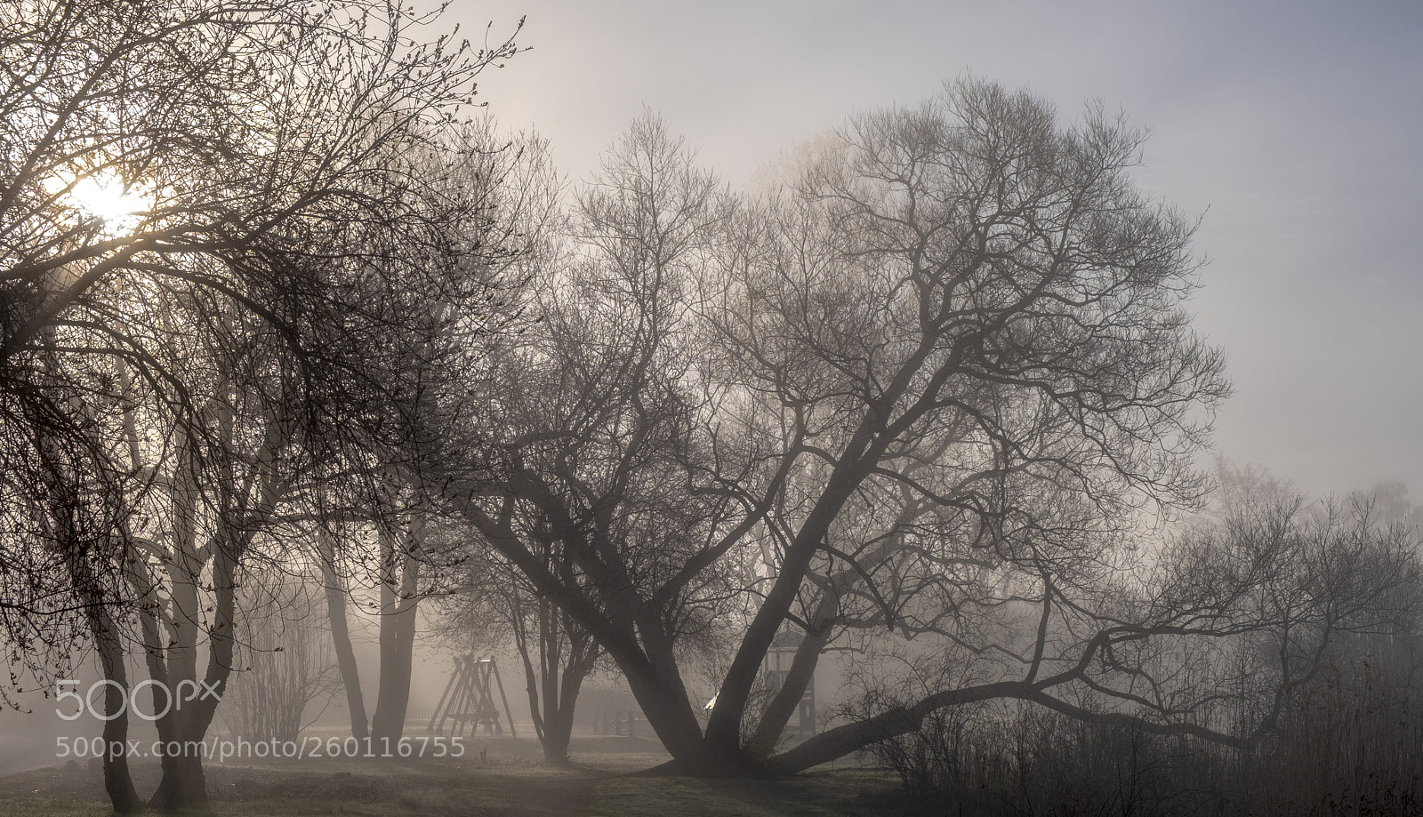 Fujifilm X-H1 sample photo. Misty morning photography