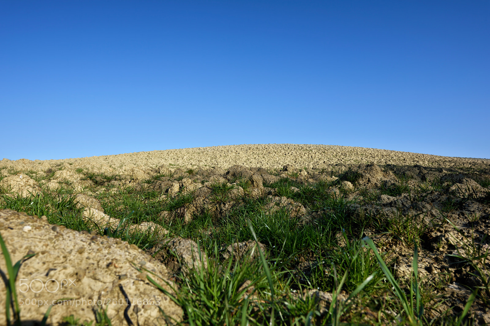 Nikon D810 sample photo. In sky and earth photography