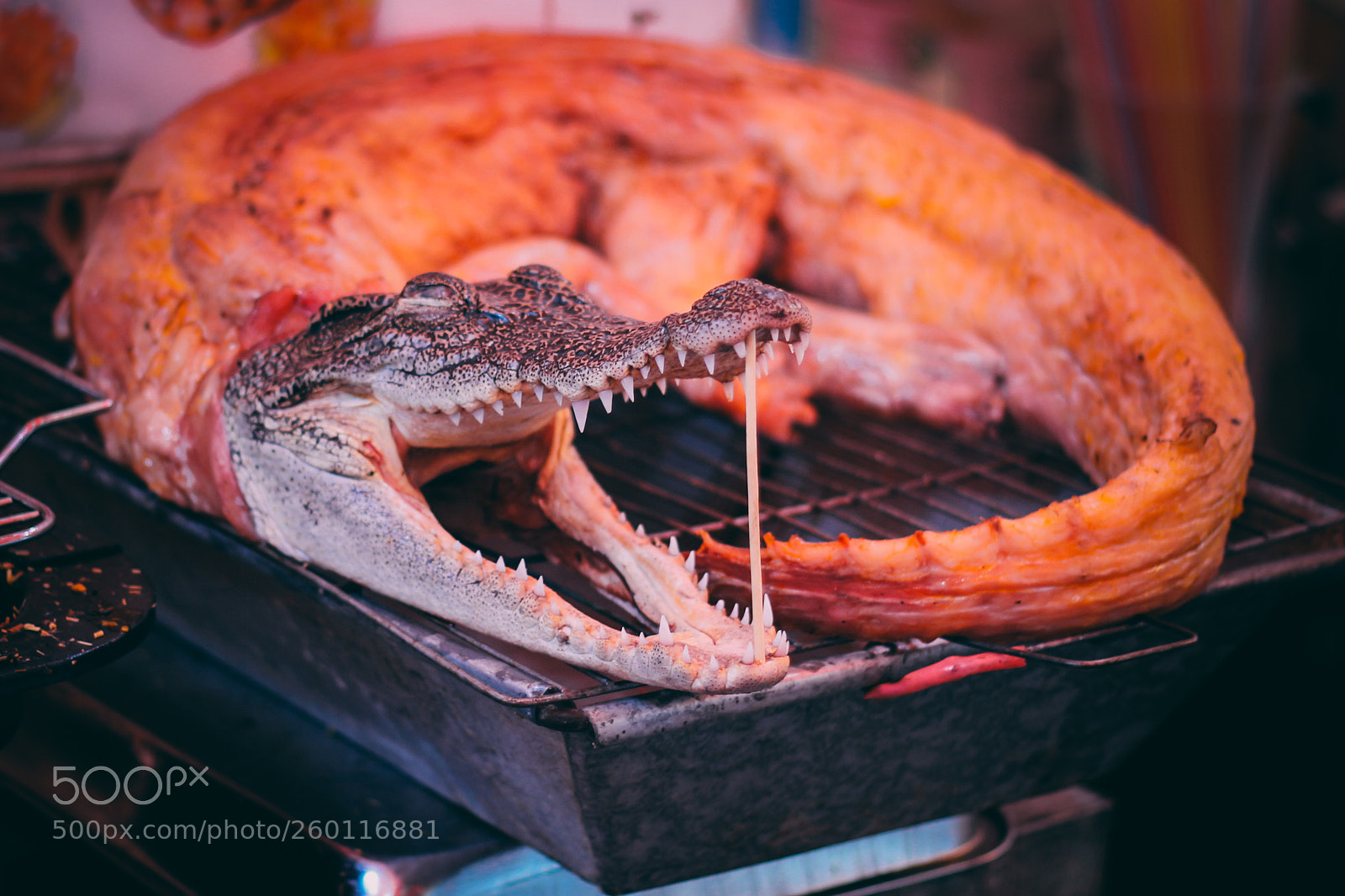 Canon EOS 700D (EOS Rebel T5i / EOS Kiss X7i) sample photo. Crocodile photography