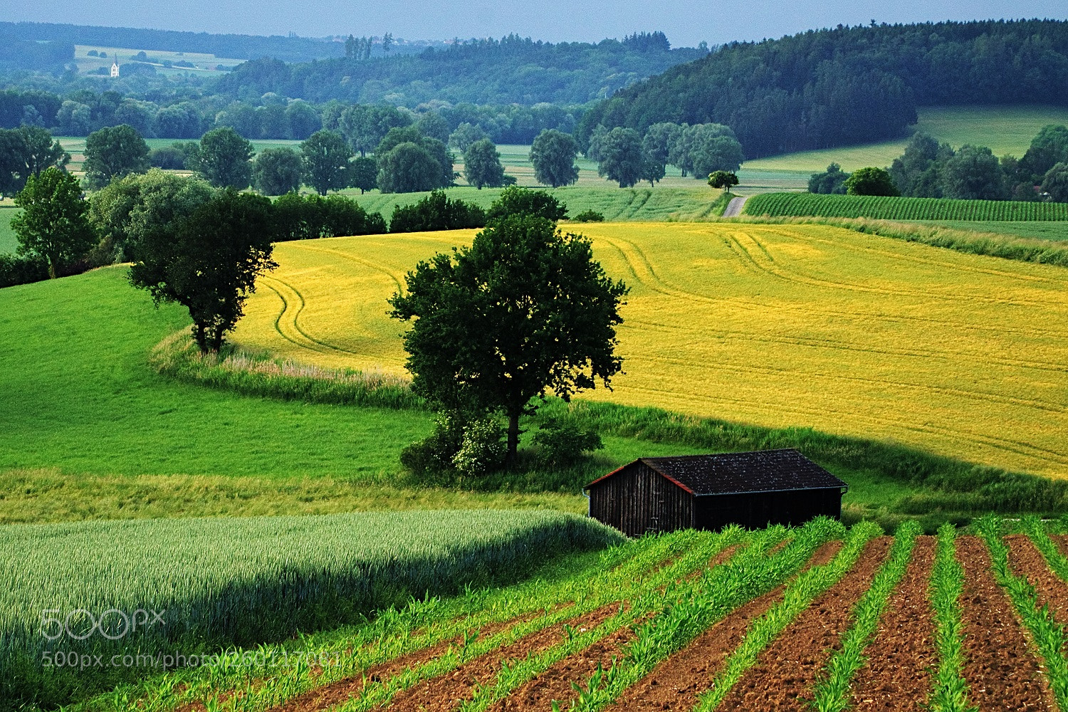 Sony a6000 + Sony E PZ 18-105mm F4 G OSS sample photo. Fast schon sommer photography