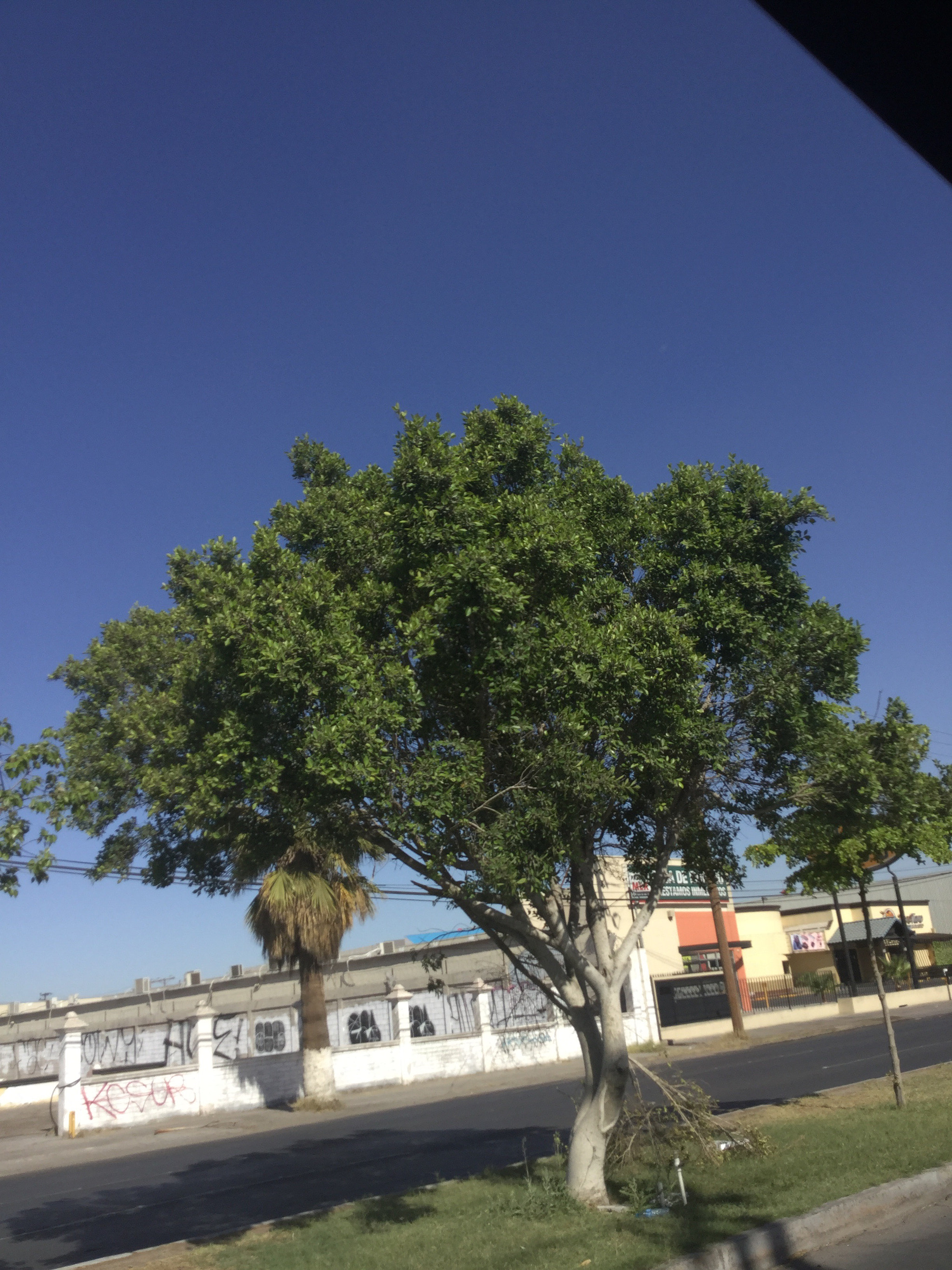 Apple iPod touch sample photo. Beautiful photography