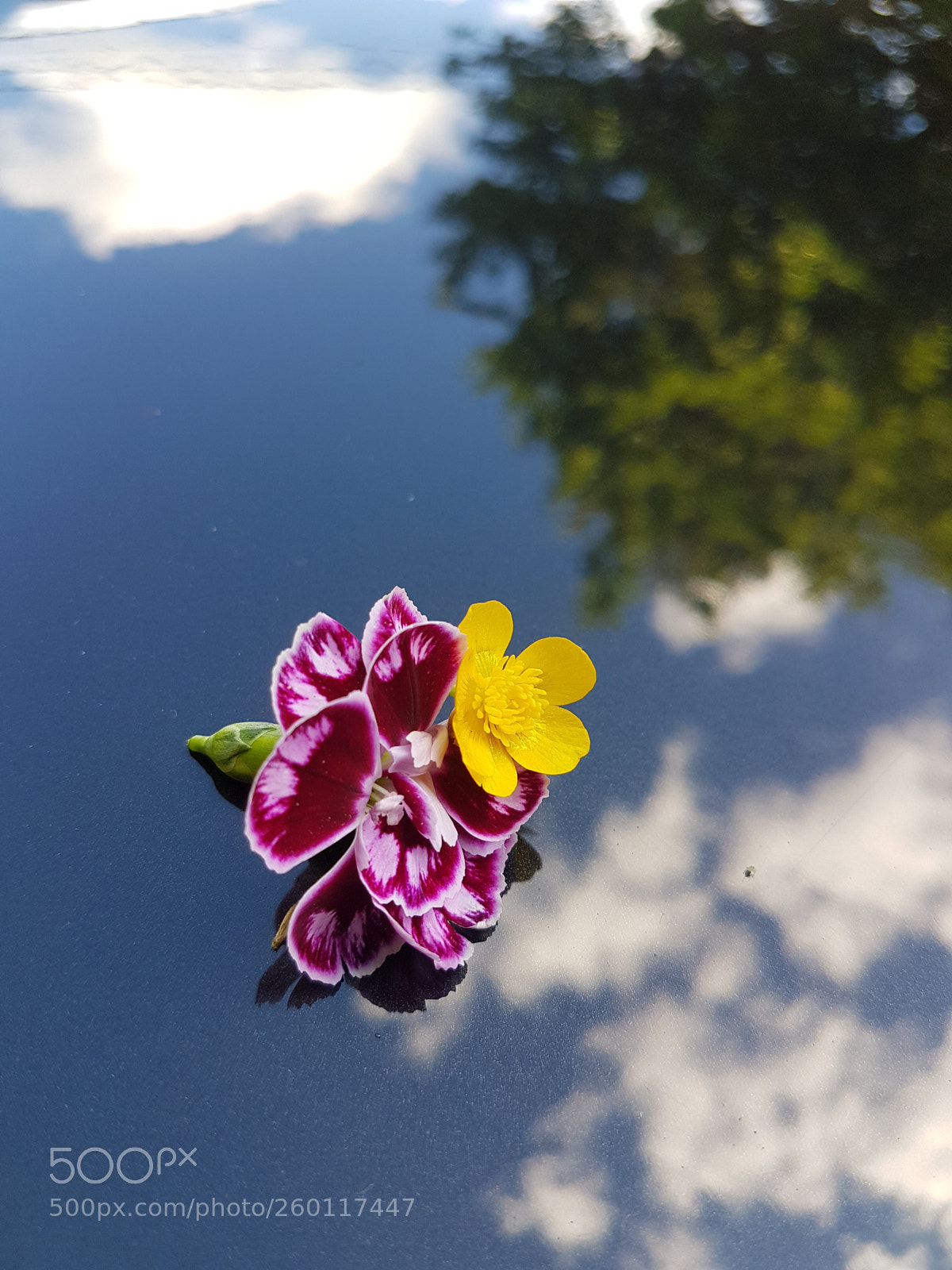 Samsung Galaxy S7 Edge sample photo. Untitled photography