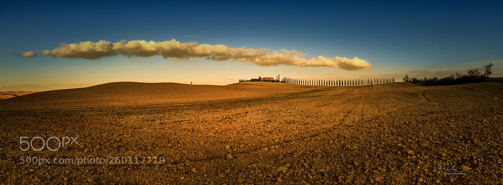 Nikon D800 sample photo. Lonely photographer photography