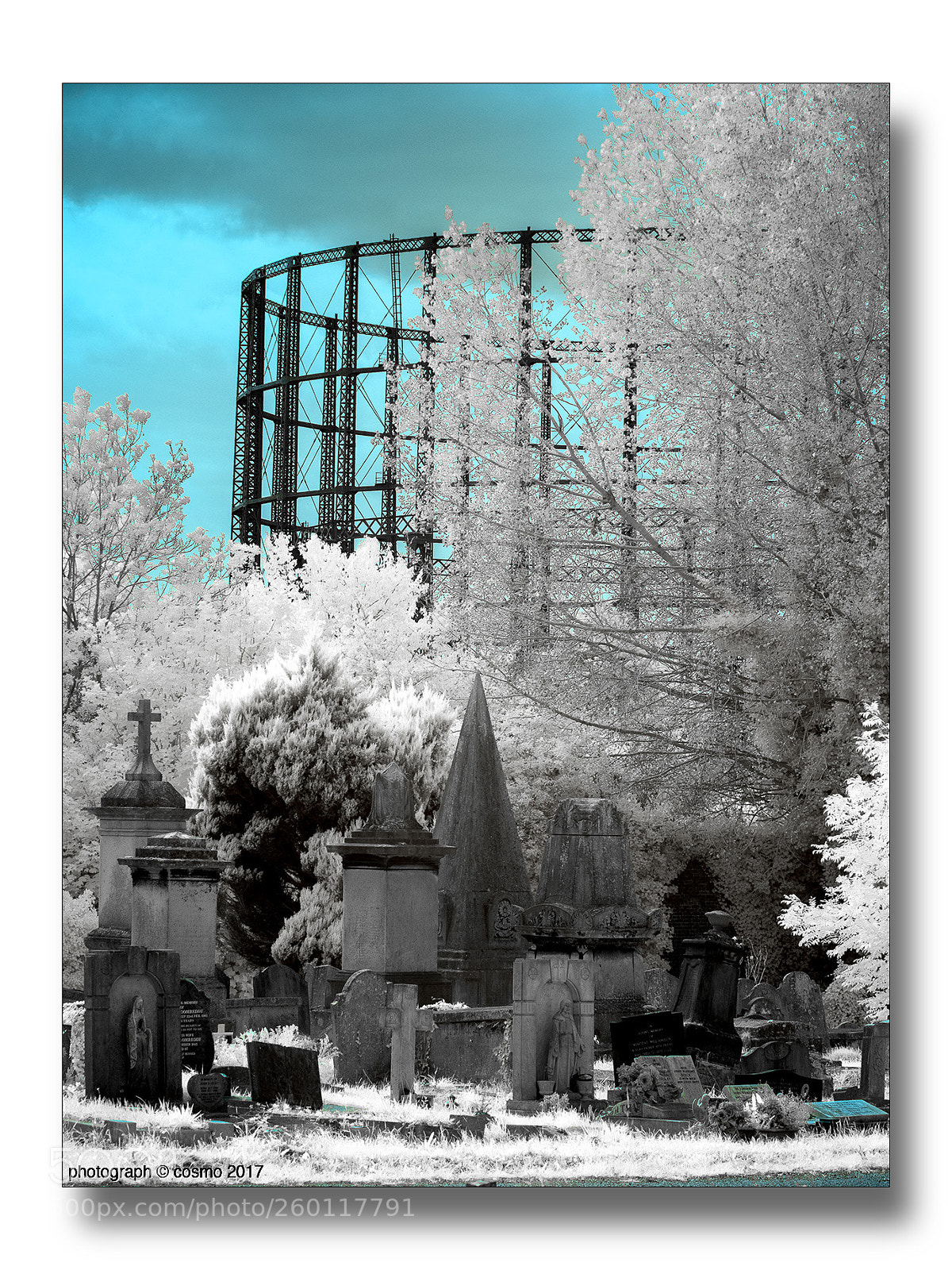 Panasonic Lumix DMC-GX8 sample photo. Kensal green cemetery. photography
