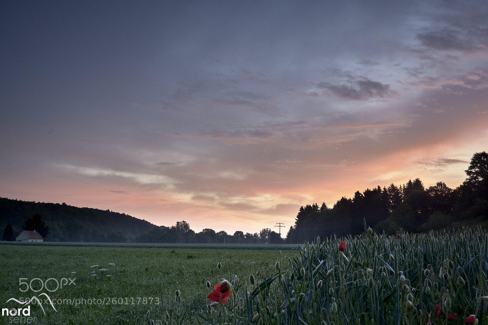 Sony ILCA-77M2 sample photo. Pliezhausen am morgen photography