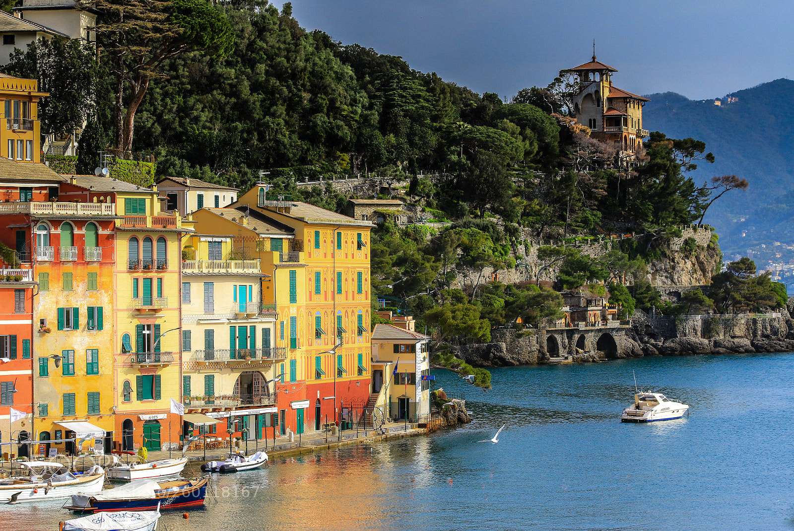 Canon EOS 70D sample photo. Img photography