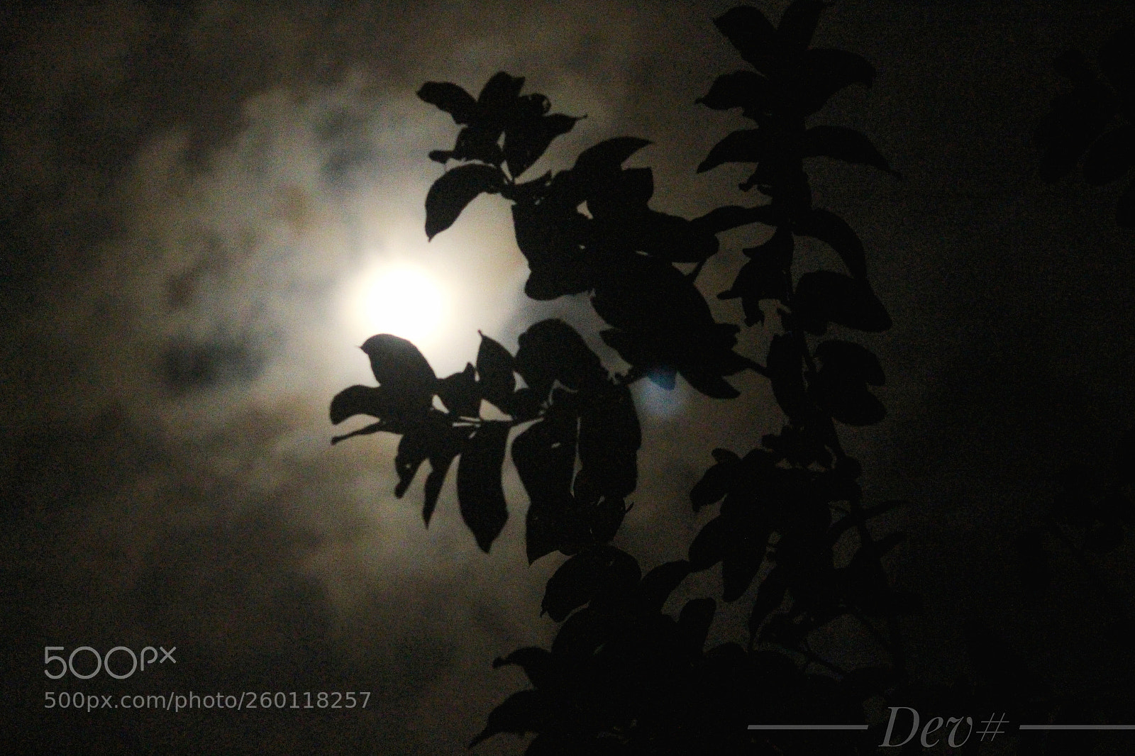 Canon EOS 700D (EOS Rebel T5i / EOS Kiss X7i) sample photo. Untitled photography