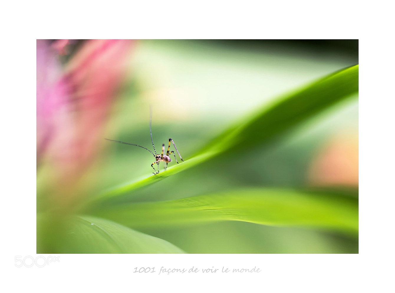 Canon EOS 7D Mark II sample photo. Immersion photography