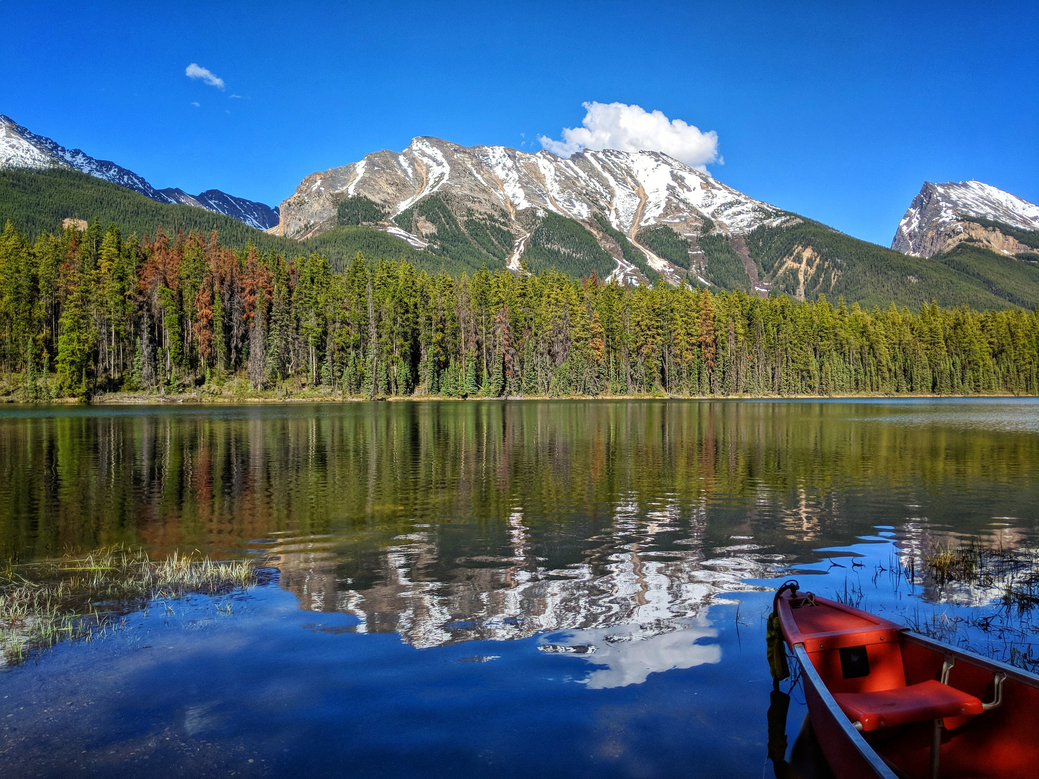 Google Pixel 2 XL sample photo. Honeymoon lake photography
