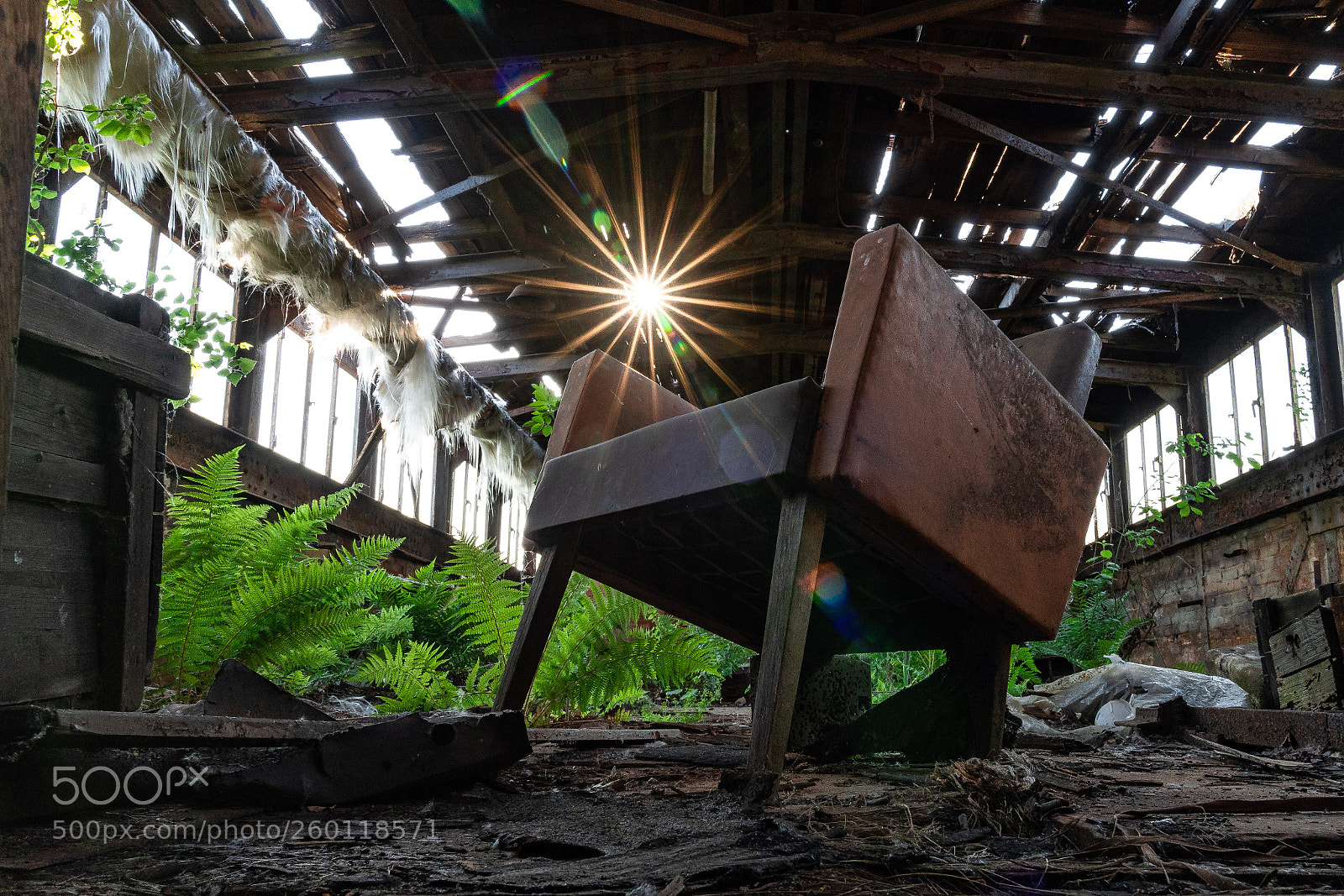 Sony a7 III sample photo. Chillout  photography